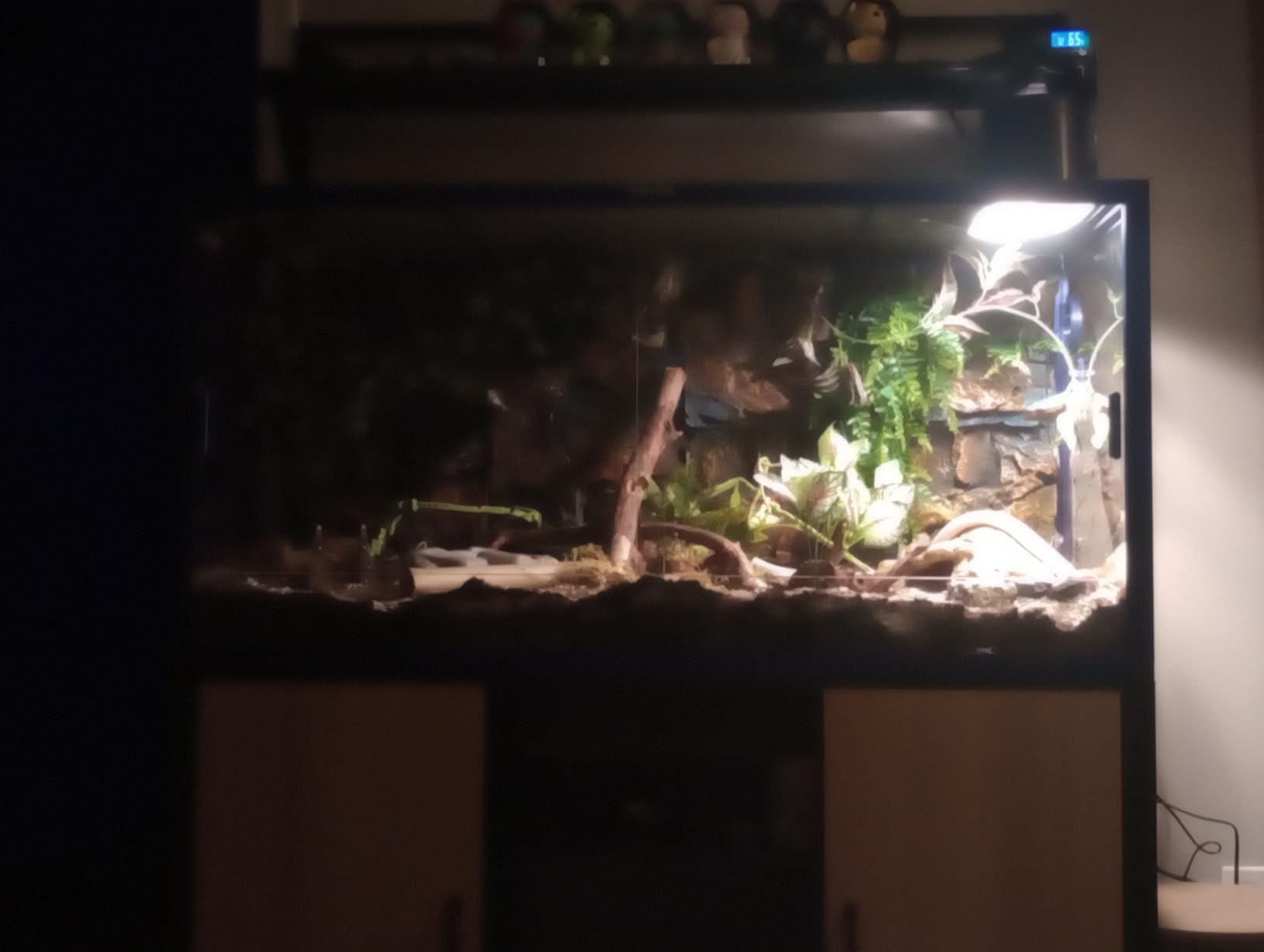 Phailozoo 50 Gallon Reptile Enclosure, Colorful Aluminum Frame Reptile Tank | Heavy Duty Mesh Top for Ventilation, Front Sliding Tempered Glass Door with Handles Easy for Maintenance customer photo 1