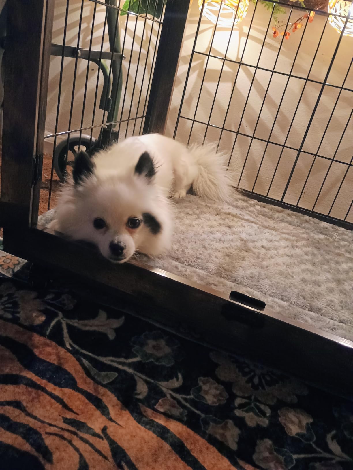 YaFiti Dog Crate Furniture, 32.5” Wooden Indoor Dog Kennel, Rustic Brown customer photo 2