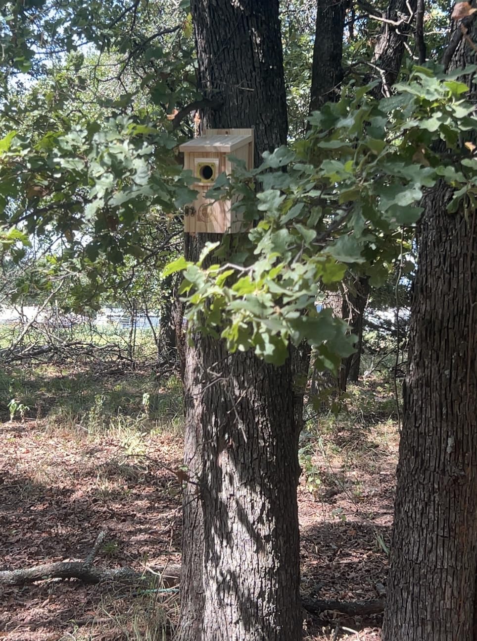 SISTERBIRD 2 Pack Bluebird Houses for Outside, Warming Gifts Bluebird House customer photo 2