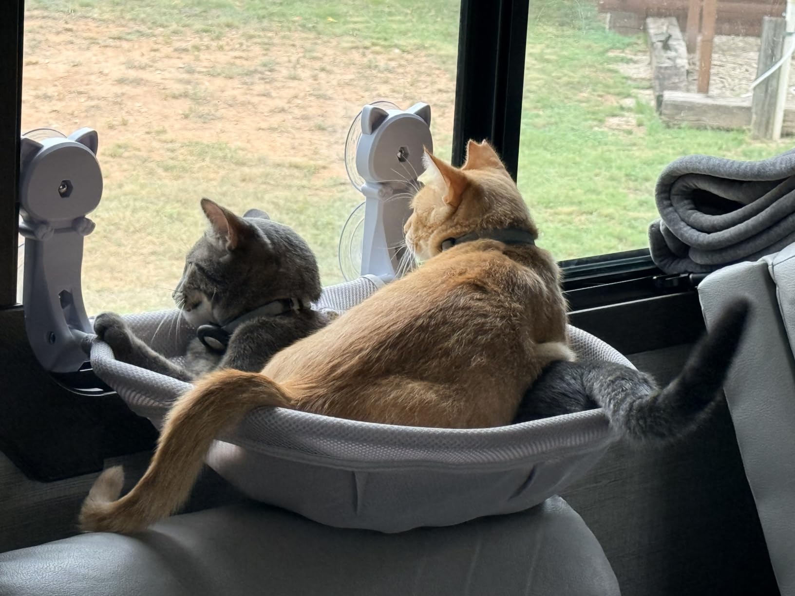 Cat Window Perch Cordless, Foldable & Stable Cat Beds- Breathable Cat Window Hammock for Overlooking, Sunbathing and Climbing - Maximum Hold Up to 40lb customer photo 1