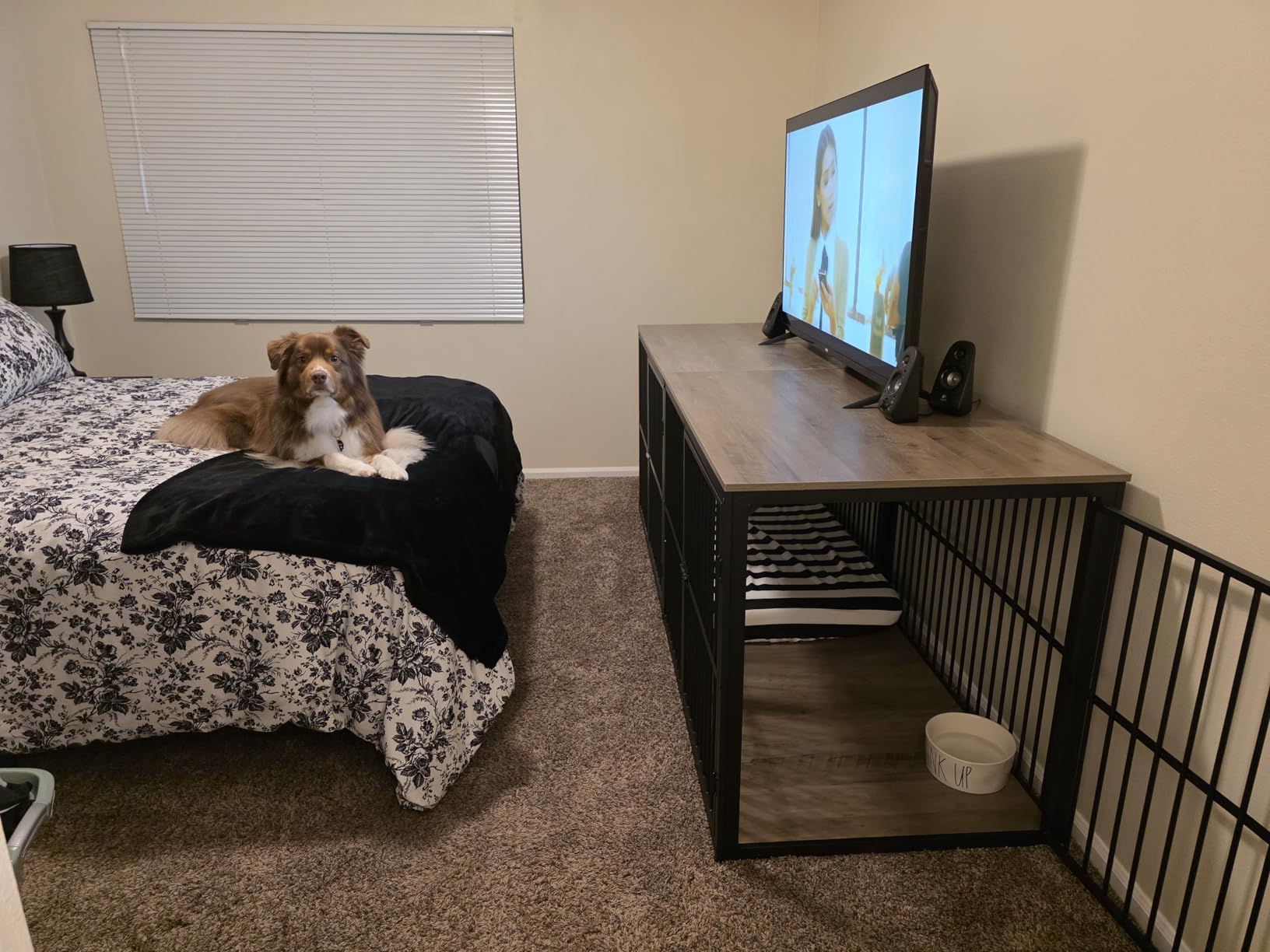 Lyromix 48'' XXL Dog Crate Furniture with 3 Doors for Large Dogs customer photo 2