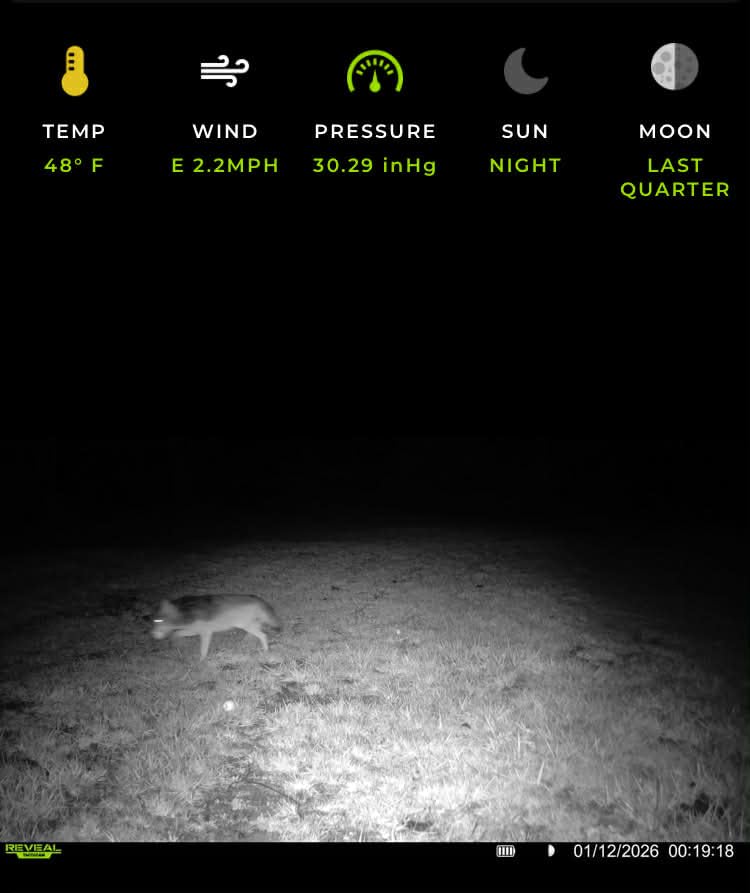TACTACAM Reveal X 3.0 Cellular Trail Camera, Night Vision, Waterproof | 4K photo, 1080p video; auto-connect multi-carrier LTE; no SD card needed; 6+ month battery life; IP66 rated customer photo 1