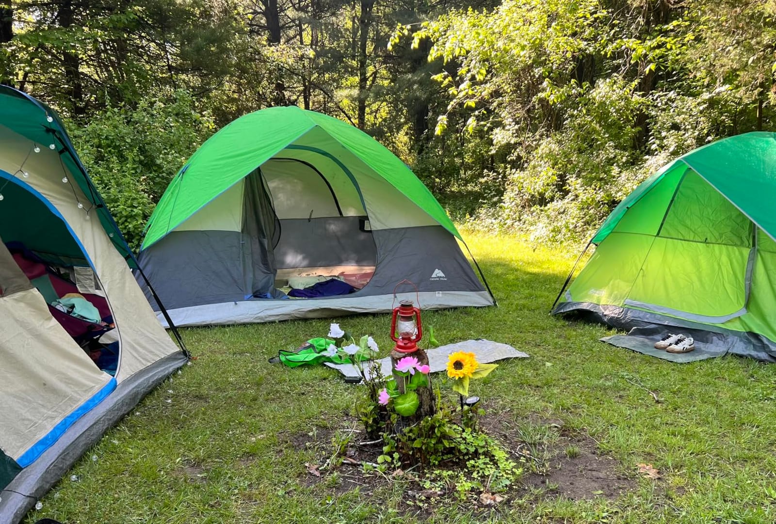 Coleman Sundome Camping Tent with Rainfly, 2/3/4/6 Person Tent Sets Up in 10 Mins, Weatherproof Shelter for Camping, Festivals, Backyard, Sleepovers, & More customer photo 2