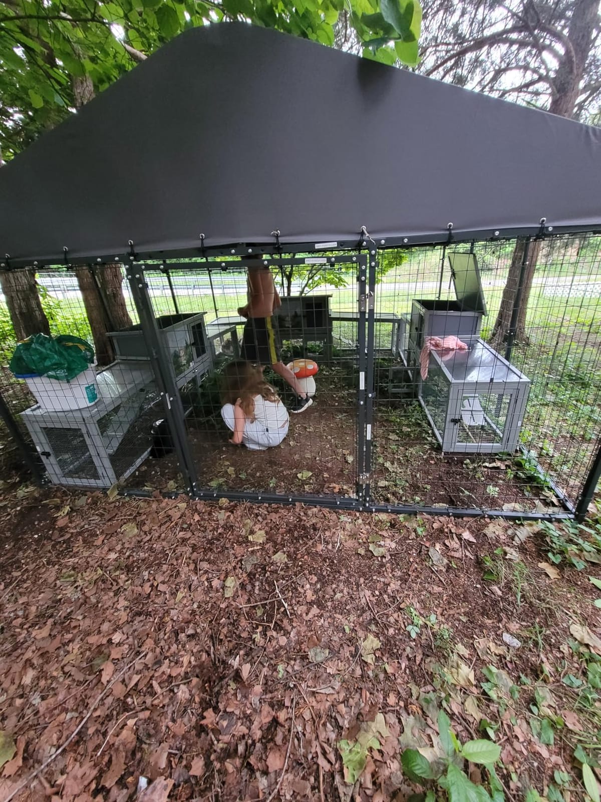 Gotland Dog Kennel Outdoor 10 x10 x6 FT, Dog Cage Outdoor for Medium/Large Dogs with Waterproof Roof Double Secure Locks Ground Spikes, All Weather Heavy Duty Dog Enclosure for Backyard Farm Ranch customer photo 1