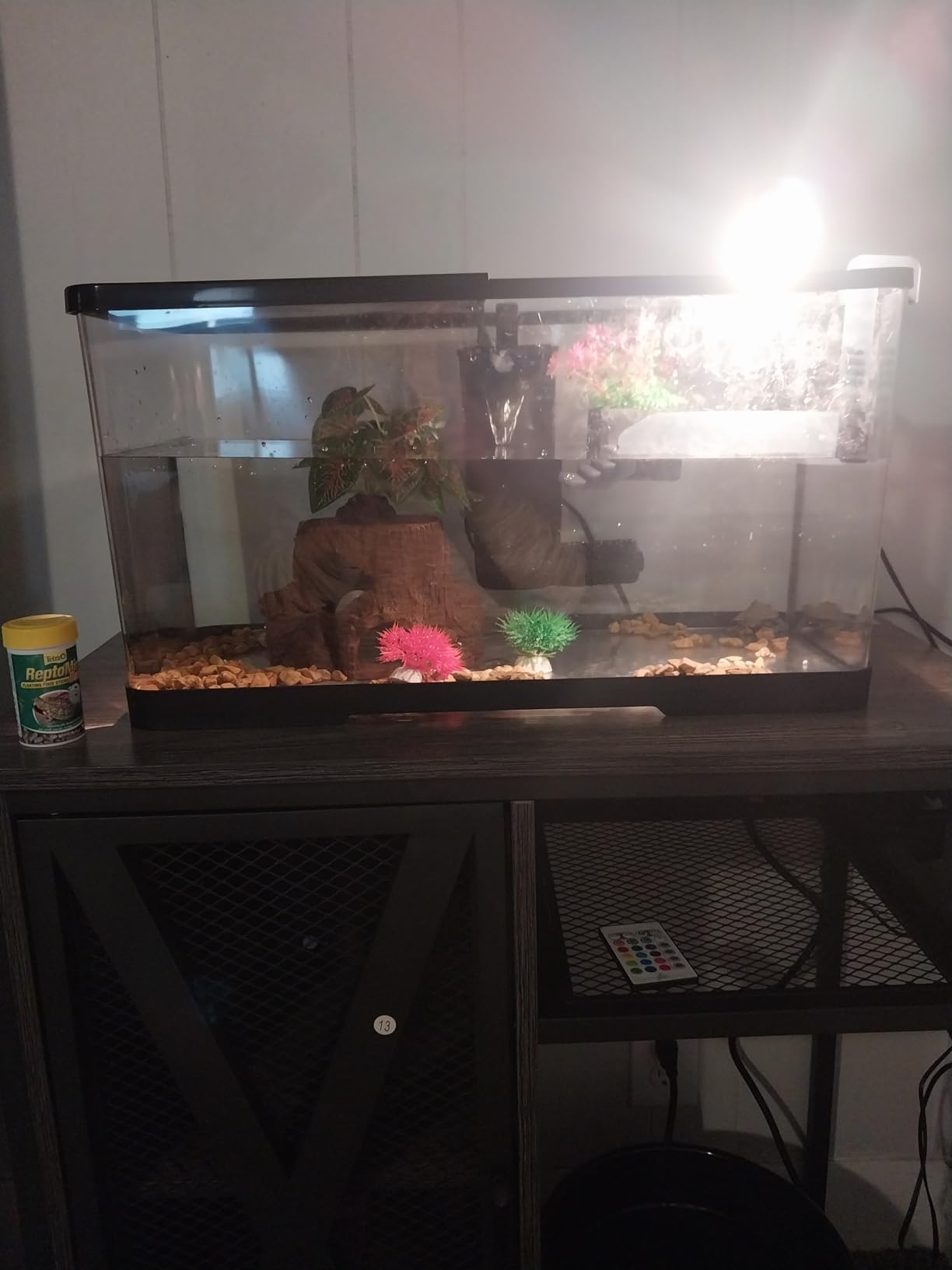 (Tank + Light + Filter + Filter Balls) Turtle Tank Kit, Turtle Tank Starter Kit,Bottom Drainage, Multi-Function Areas for Turtles, Crabs,Fishes, Amphibians,Reptiles. (21.65 × 12.28 × 12.28 Inch) customer photo 1