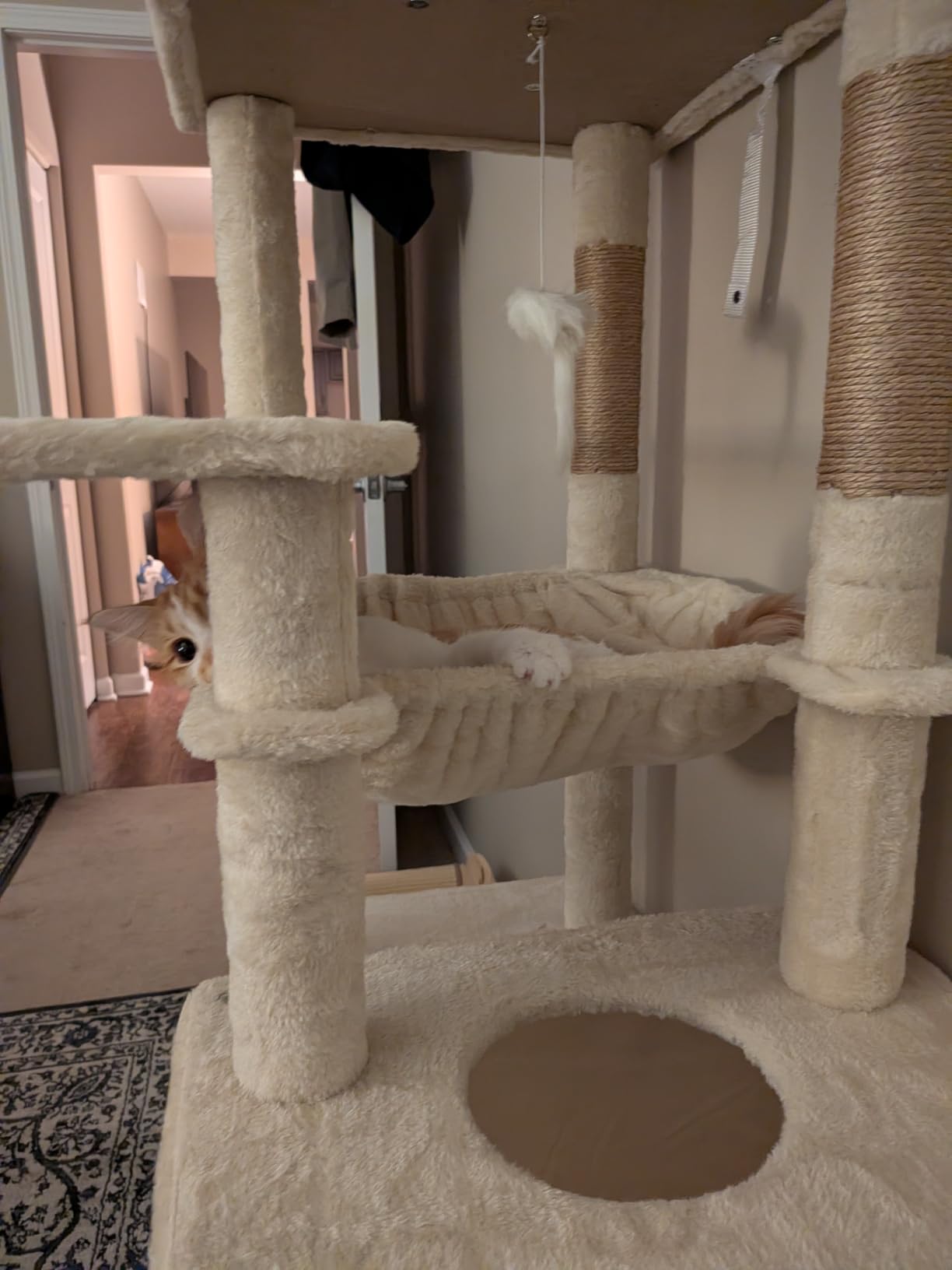 Globlazer Heavy Duty Cat Tree Tower for Indoor Cats Large Adult | 70in Sturdy Extra Large Cat Tower with Scratching Post, Cat Condo for Adult Cats Kittens, Hammock, Padded Perch, Light Grey, F70 Pro customer photo 1
