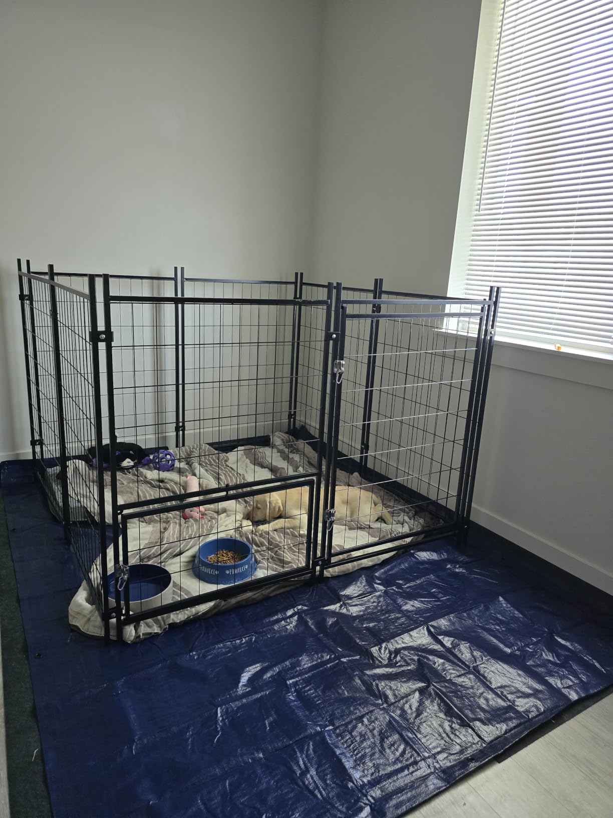 Sino Luban Outdoor Dog Kennel Outside Run with Doggy Door, Swivel Feeder&Roof - 8x4x6FT Large Dog Kennels Pens Outside for Large Dogs Breed- Heavy Duty Cage Yard (Can Connect to Your Dog House) customer photo 2