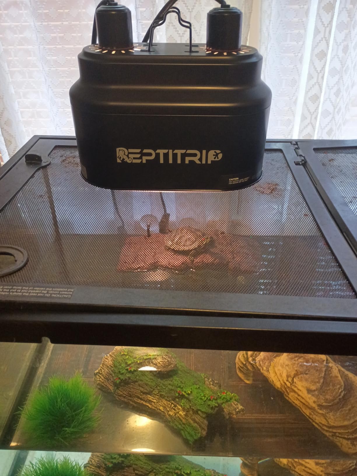 Dual Reptile Light Fixture with Switches, Reptile Heat Lamp Fixture, Reptiles Terrarium UVB Bulb Fixture for Bearded Dragon, Max 160W Each (Bulb Not Included) customer photo 1