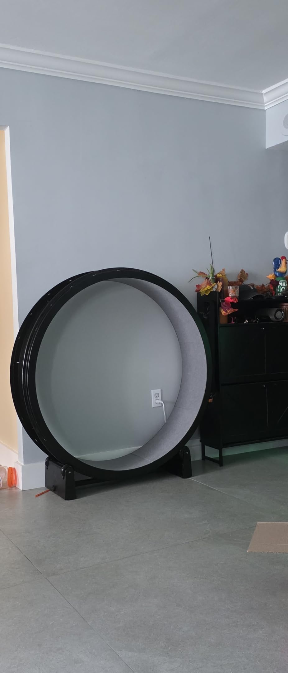One Fast Cat Exercise Wheel, Gen 7, Safe 48” Diameter, Made in the USA customer photo 2