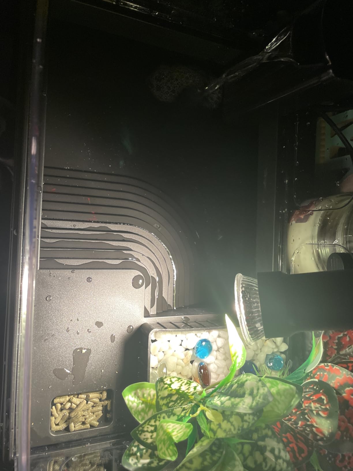GOZILLA Small Turtle Tank Kit(Tank+Lamp+Filter), Acrylic Turtle Starter Kit with Adjustable Lamp, Reptile Habitat and Terrarium with Multi-Functional Areas for Small Reptiles. (Black Kit) customer photo 1