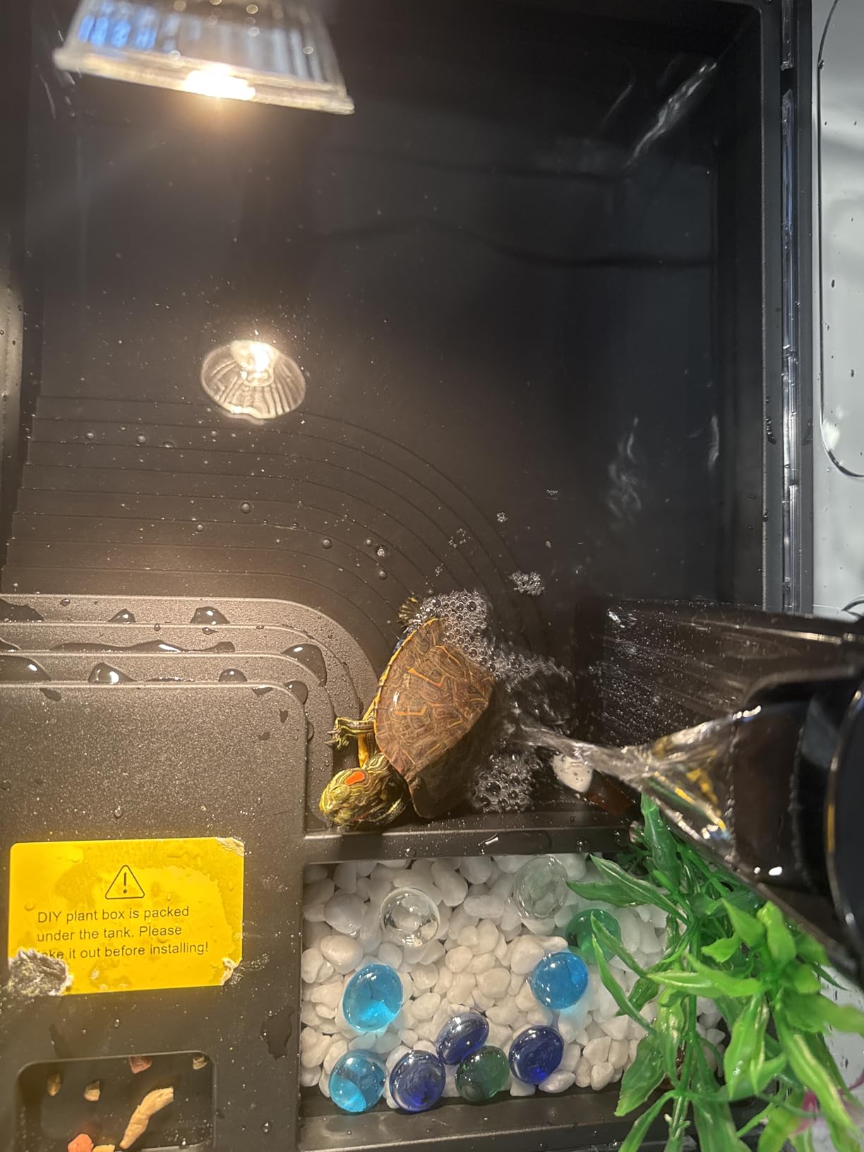 GOZILLA Small Turtle Tank Kit(Tank+Lamp+Filter), Acrylic Turtle Starter Kit with Adjustable Lamp, Reptile Habitat and Terrarium with Multi-Functional Areas for Small Reptiles. (Black Kit) customer photo 2