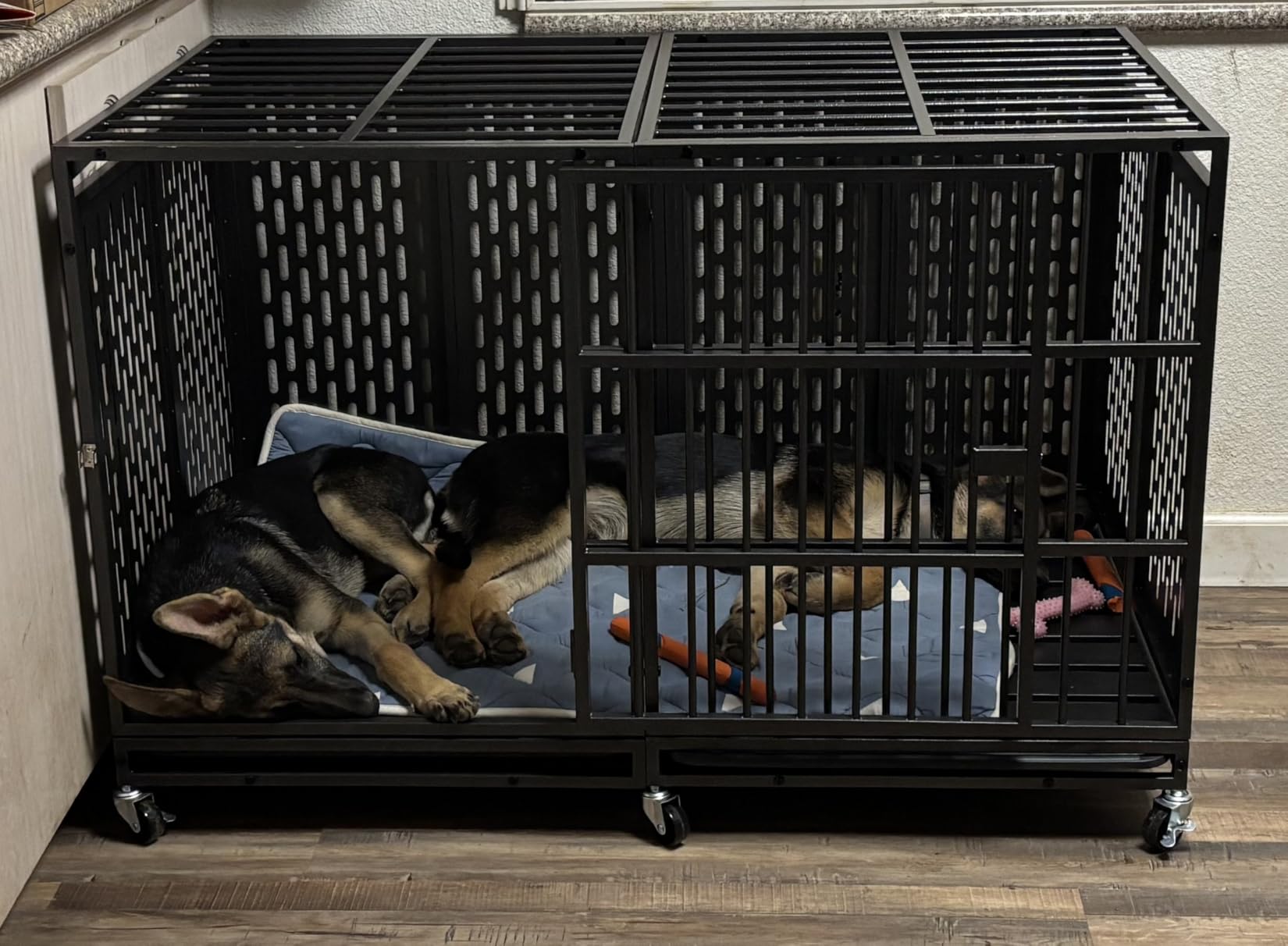 Snuowu 38 Inch Heavy Duty Dog Crate with Wheels, Metal Big Dog Cage for Large and Medium Dogs, Extra Large XL XXL Indestructible Dog Crate with Removable Tray. customer photo 2