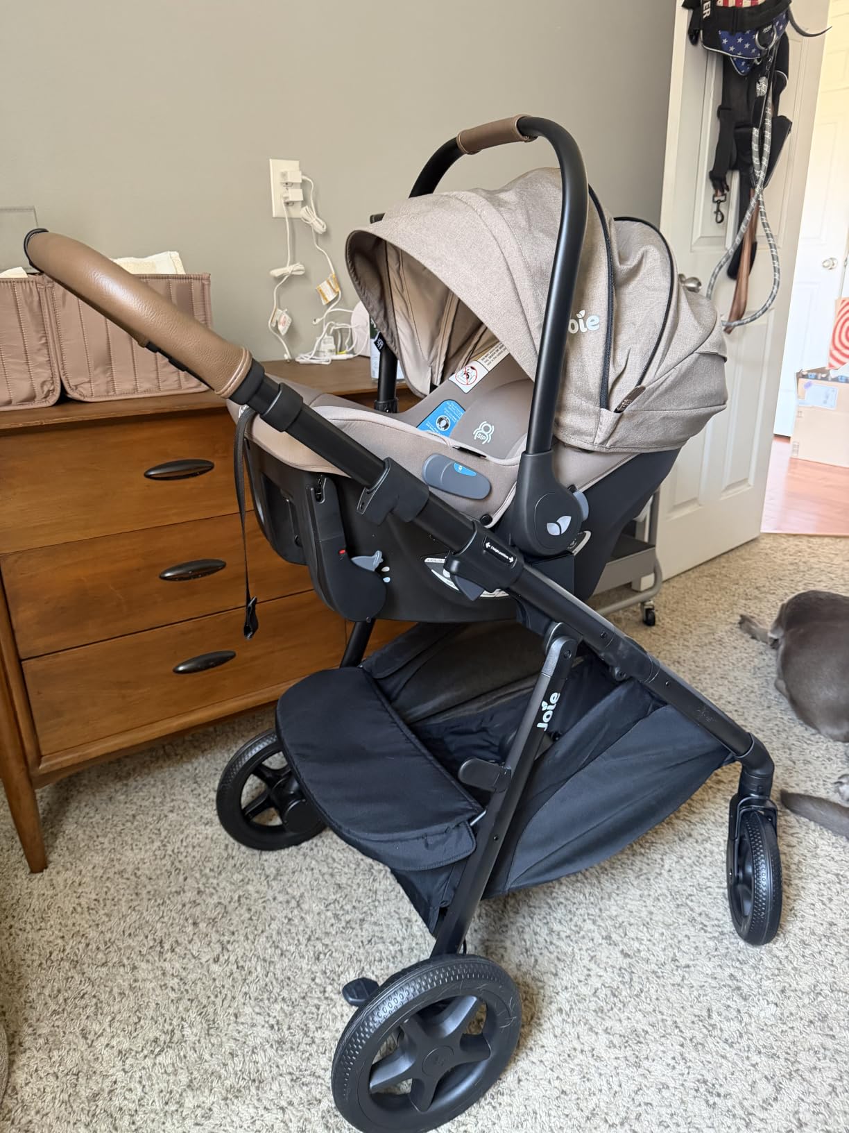 Joie Ginger 4-in-1 Stroller & Mint Latch Car Seat Travel System | Baseless infant car seat with rigid LATCH install, built-in pramette, height-adjustable seat, newborn to 50 lb. customer photo 2