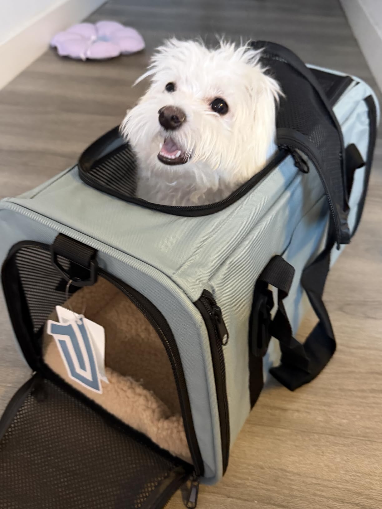 PETSFIT Cat Carrier Soft with Patented Safety Buckles, Safe for Car Travel | Lockable Zippers, Safety Tether, Escape-Resistant Pet Carrier for Vet Visits, Airline Approved Under-Seat, Up to 12 lbs customer photo 2