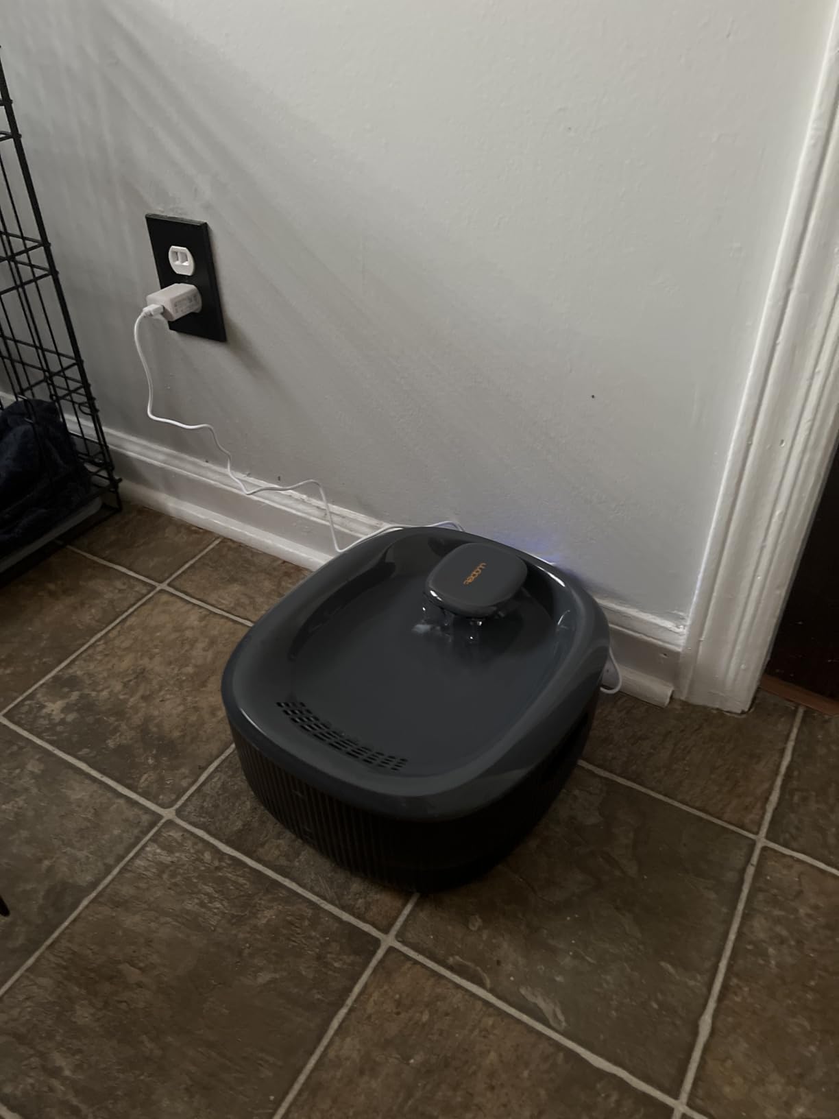 WOPET Dog Water Fountain for Large Dogs, 6L/205oz/1.6Gal Automatic Dog and Cat Water Fountain, Pet Water Dispenser with 2 Filters, Ultra-Quiet Pump, Great for Large Dogs Cats and Multi-Pet Home customer photo 1