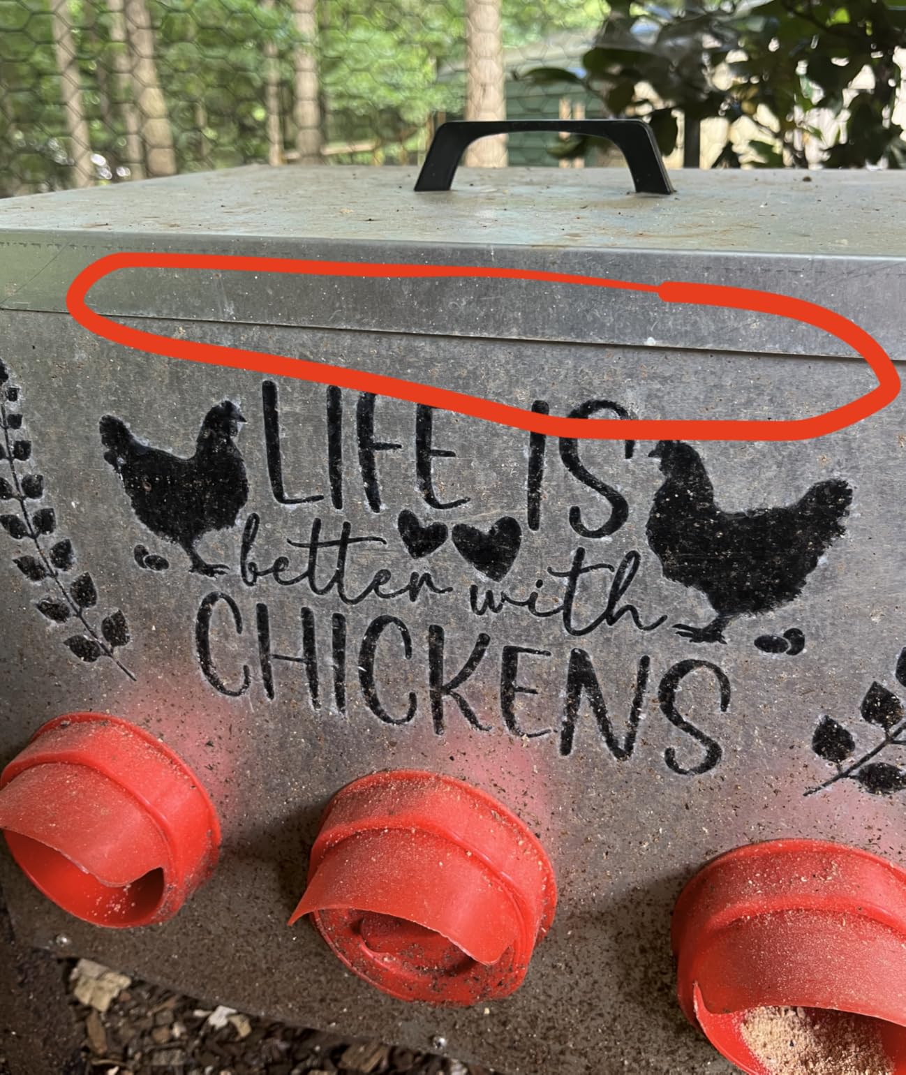 TGEYD 50LB Large Automatic Chicken Feeder – 8 Feeding Ports, No-Waste Poultry Feeder, with Adjustable Legs & Locking Lid customer photo 1