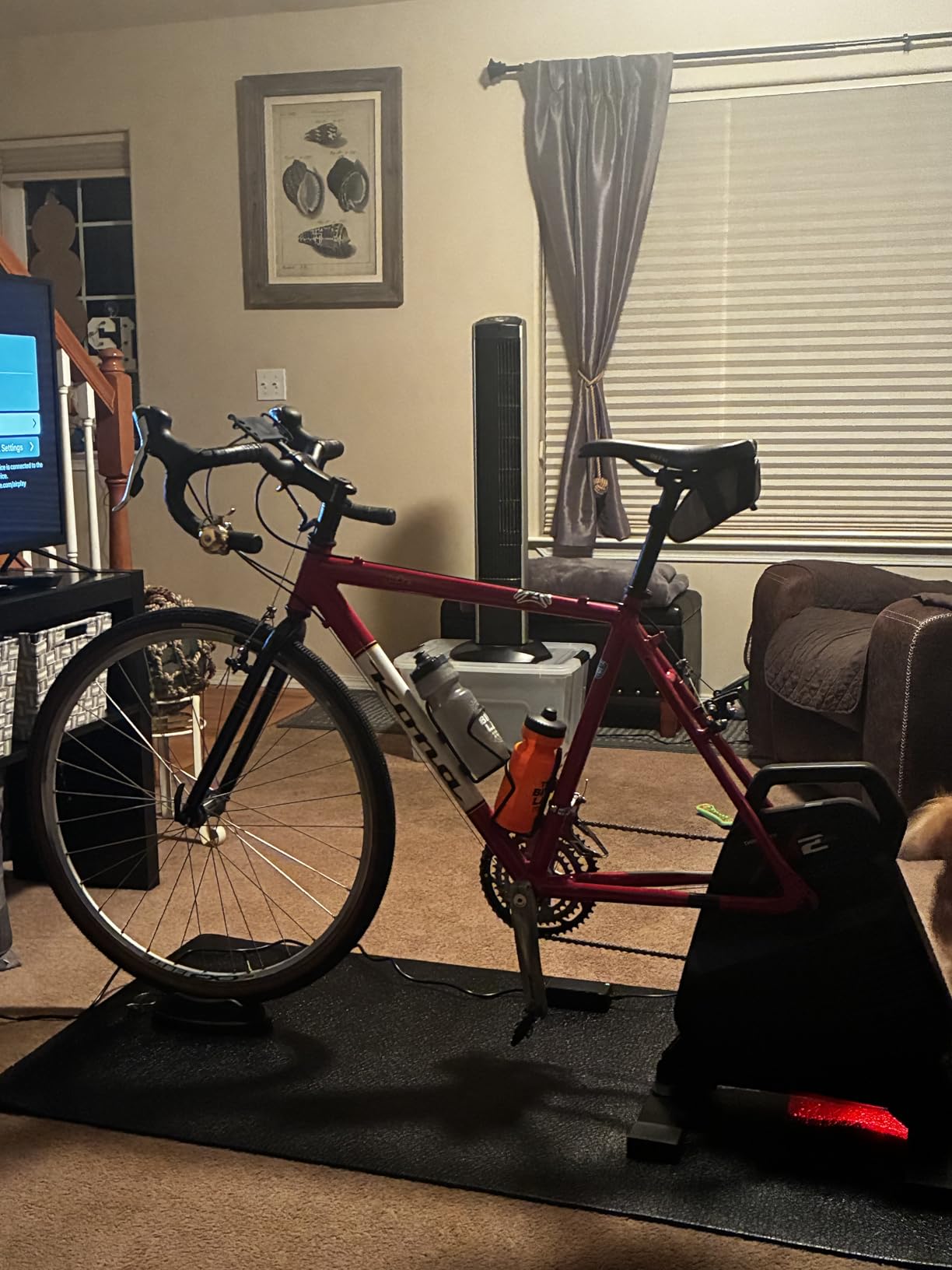 ThinkRider X2Max Smart Bike Trainer, 2000W, Simulates 18% Slope, ANT+ & BLE customer photo 2