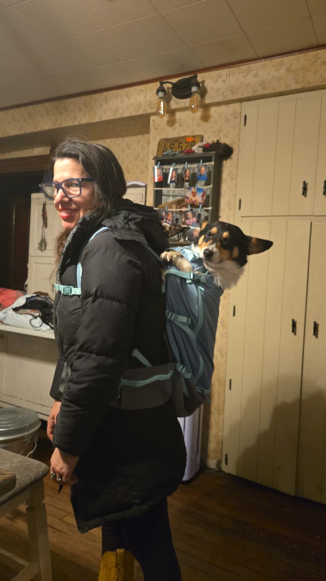 Ruffwear, Hitch Hiker Dog Backpack Carrier, River Rock Green, Small | Hands-Free Dog Carrier Backpack with Breathable Mesh, EVA Foam Padding, Durable Polyester, Lightweight Design for Small Dogs customer photo 1