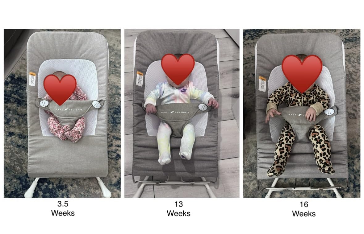 Baby Delight Highland Baby Bouncer, Sage Tweed customer photo 1
