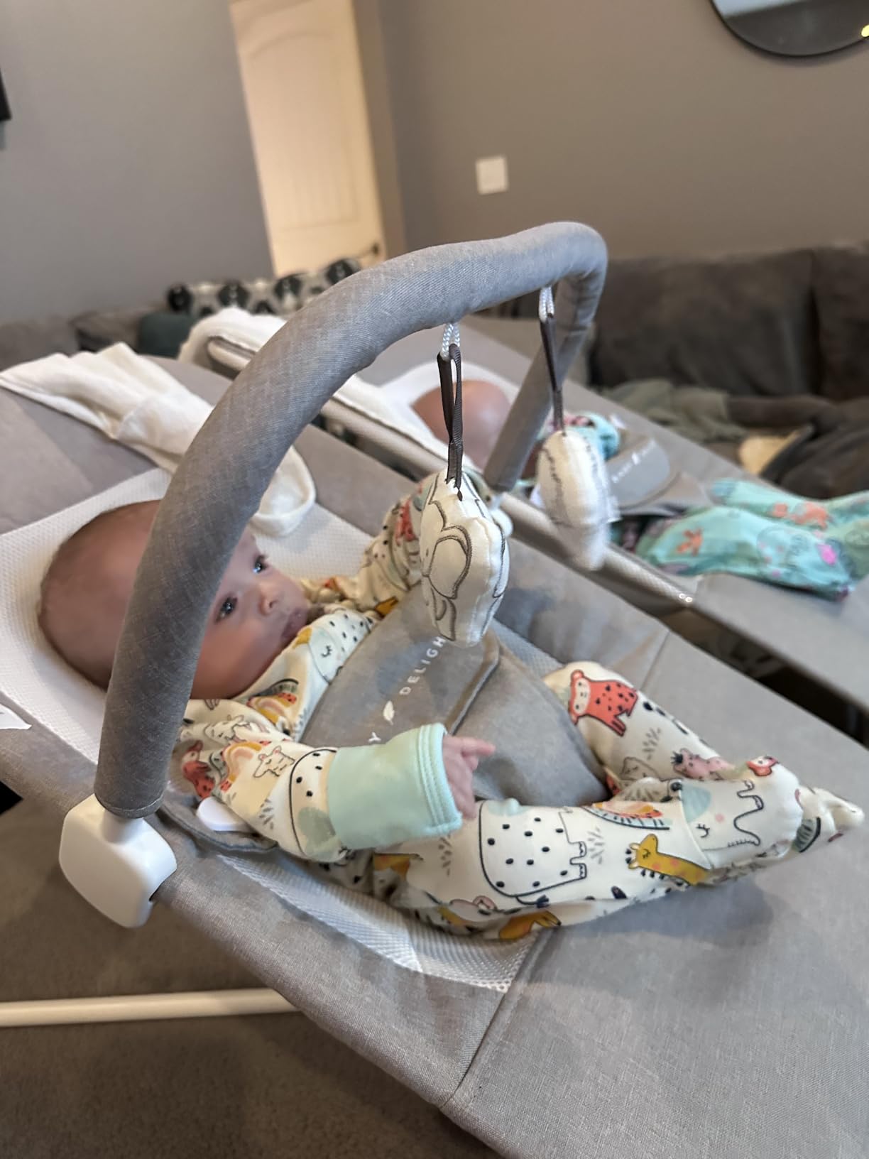 Baby Delight Highland Baby Bouncer, Sage Tweed customer photo 2