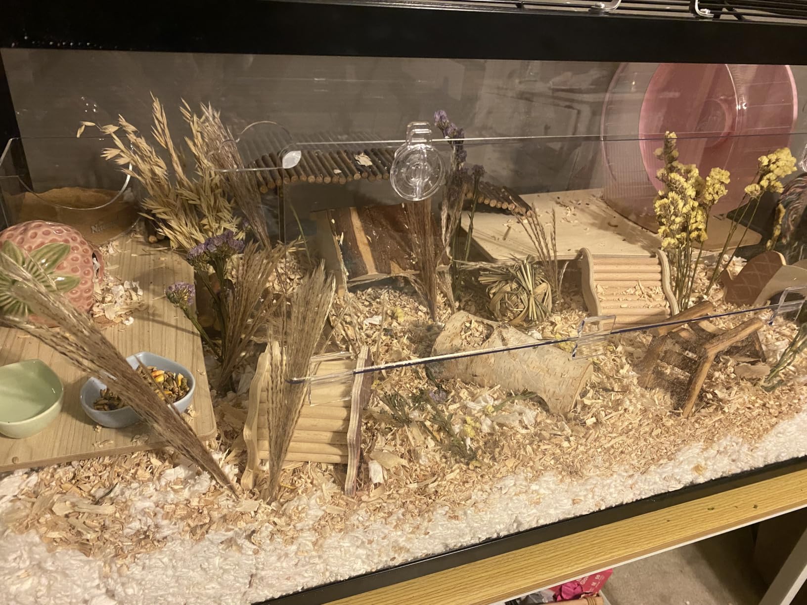 VEVOR Hamster Cage, 360°Viewing Transparent Hamster Habitats, Small Animal Cage, 22.8 x 15 x 21.3 in, Ventilated Pet Mouse Cages with Water Bottle, Portable Hamster House for Rats, Guinea Pigs customer photo 1