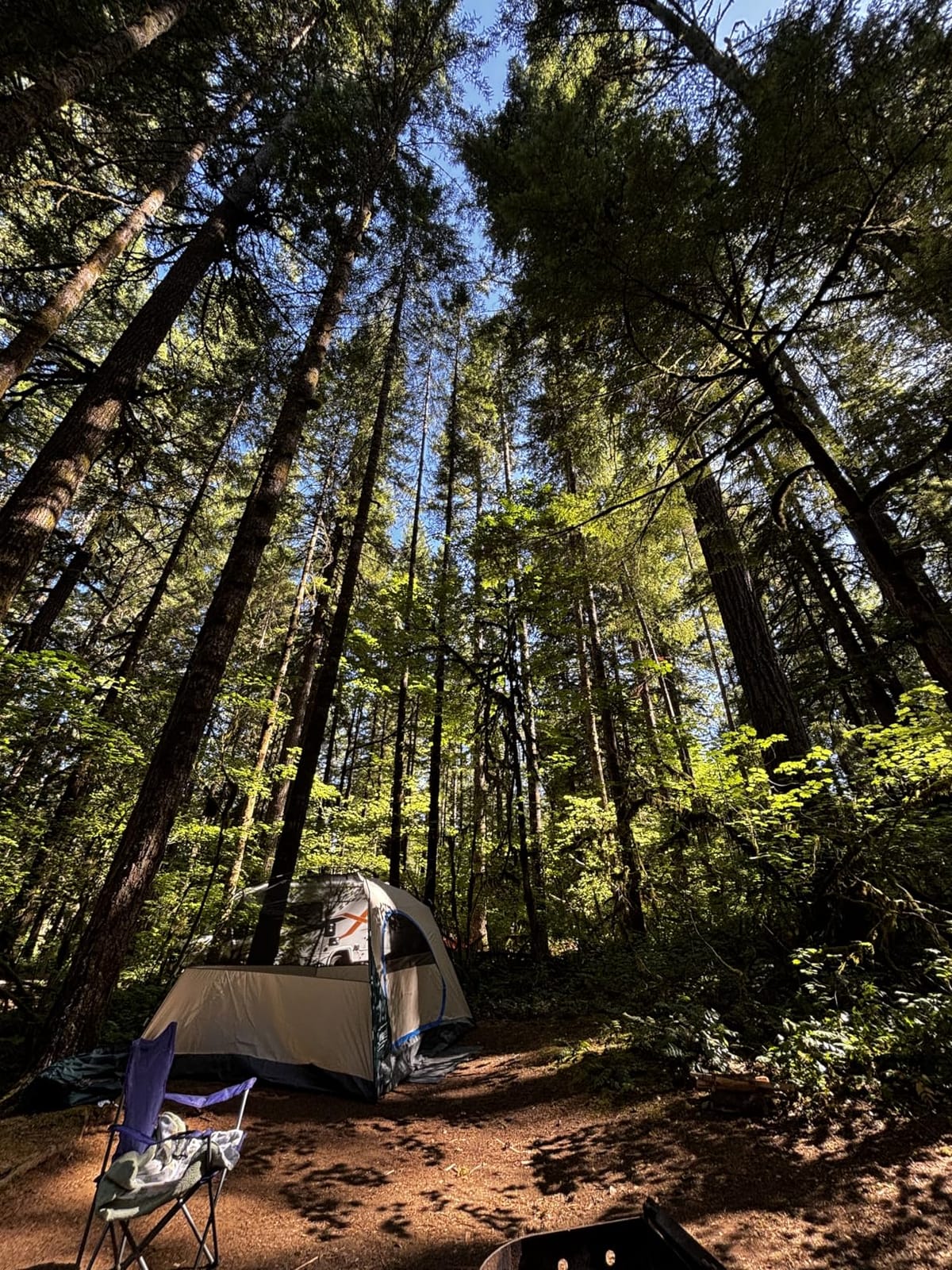 Coleman Skydome Camping Tent with 5 Minute Setup, 2/4/6/8 Person Weatherproof Tent with Rainfly & Carry Bag, 20% More Headroom Than Traditional Canopies customer photo 2