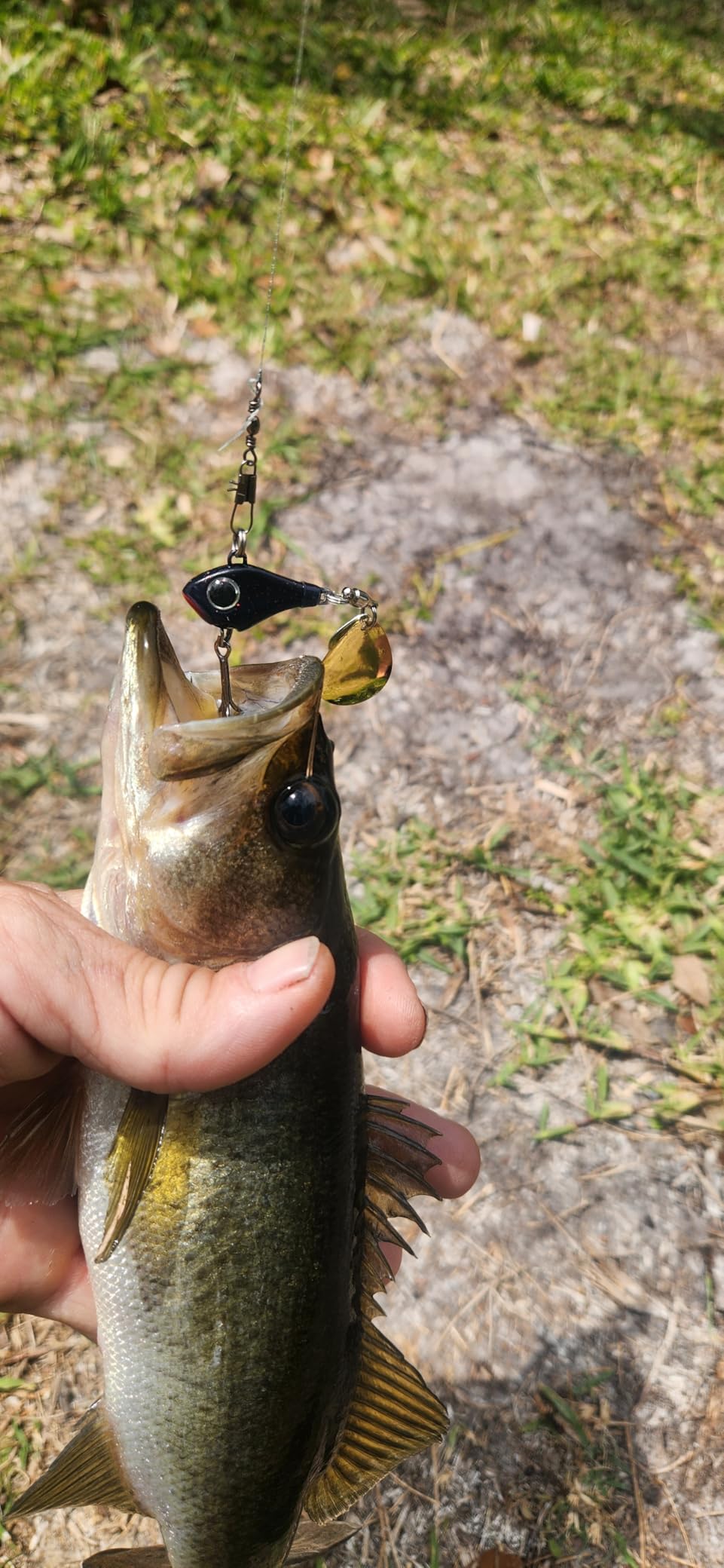 TRUSCEND Vibespinner Easy Catch Fishing Lures with BKK Hooks, Tail Spinner Baits customer photo 2