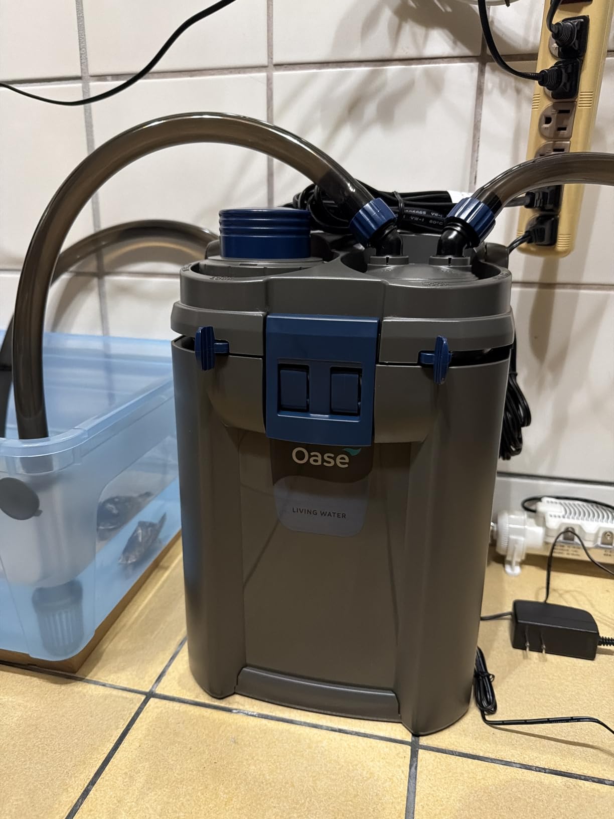 OASE BioMaster 2 Thermo 250 Canister Filter for Aquariums - External Aquarium Filter with Built-in Heater - EasyClean Pre-Filter, Quiet Operation - Freshwater & Saltwater, Up to 70 Gallons customer photo 1