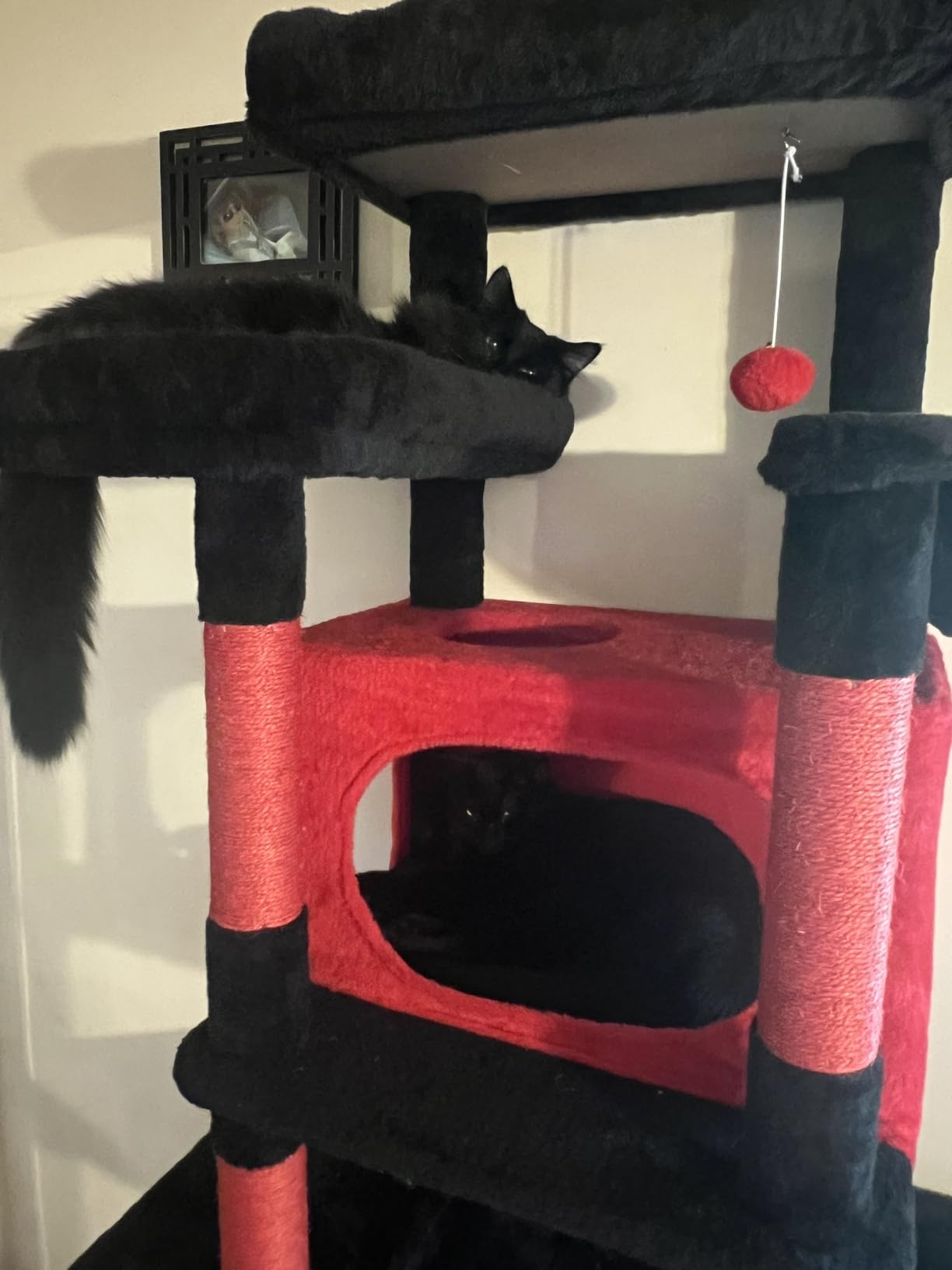 Globlazer Giant Tall Heavy Duty Cat Tower for Indoor Large Cats, F83B | XXL Multi-Level Large Cat Condo with 8 Scratching Posts, Hammock, 2 Cat Caves, 2 Platform, Dark Grey customer photo 1