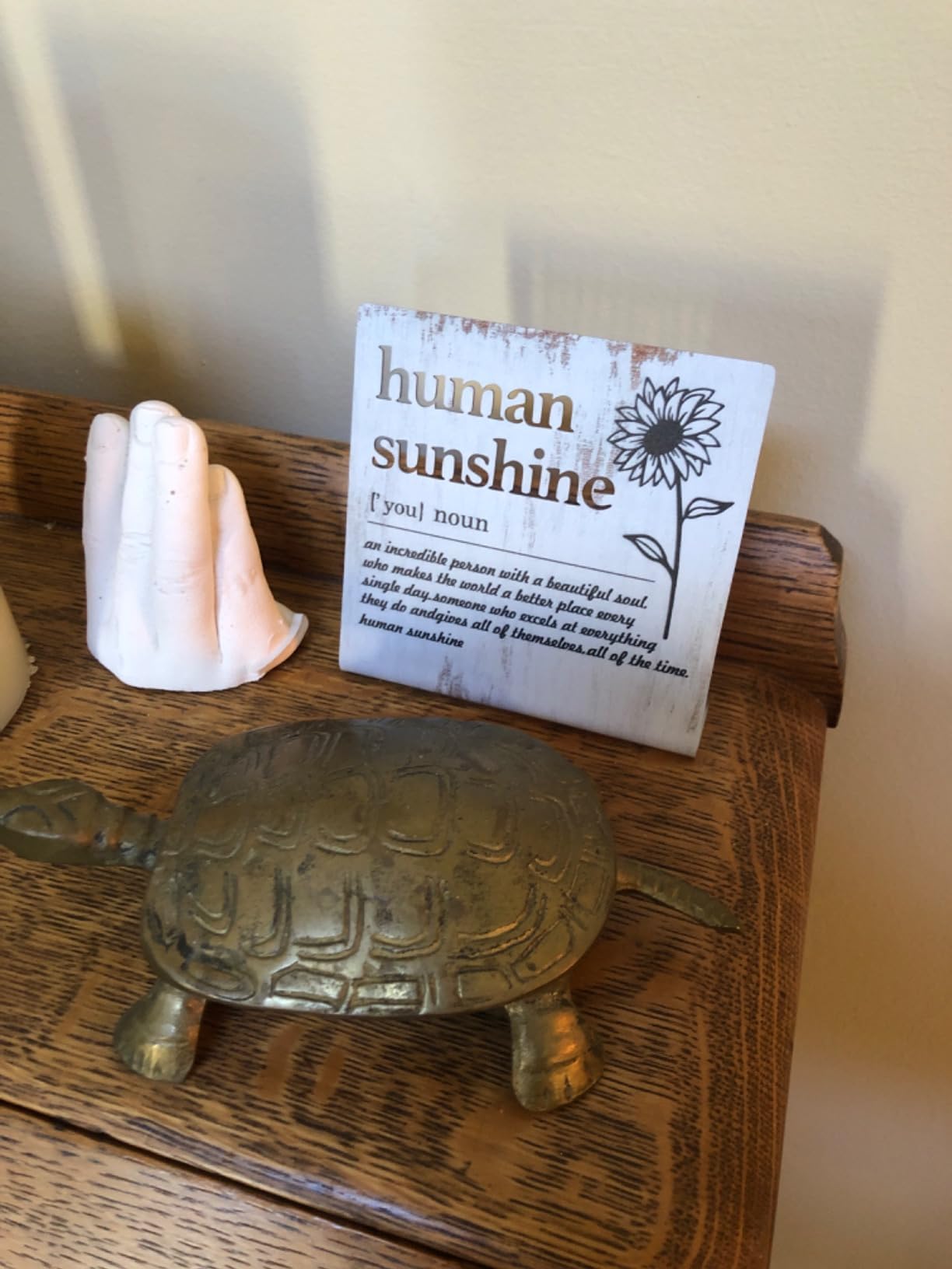 Author Desk Sign Funny Inspiring Gift for Writers, Novelists, Editors or Book Lovers, Rustic Steel Plaque with Literary Quote, Office or Writing Nook Decor for Storytellers Creative Minds XLK522 customer photo 2