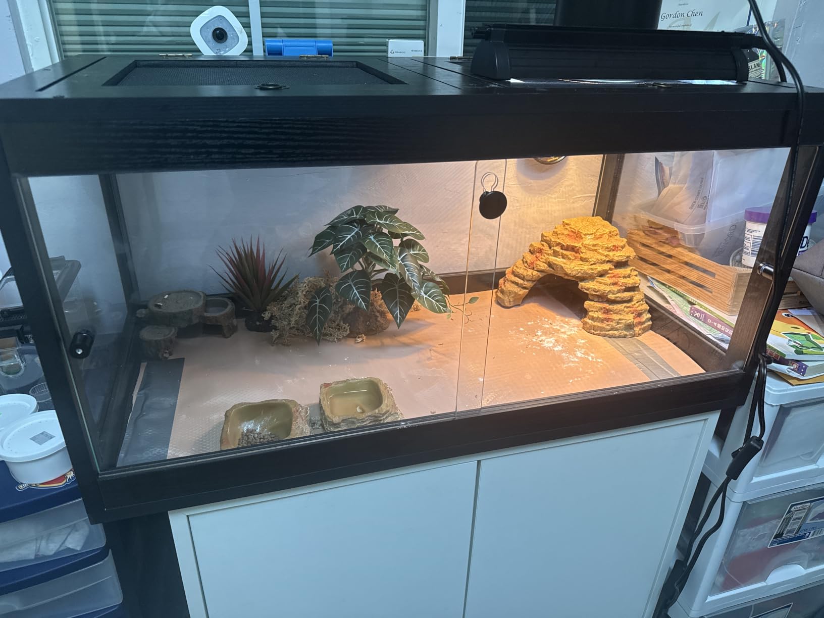 PROLEE 82 Gallon Bearded Dragon Tank, 48 x 20 x 20 Inch Tempered Glass Reptile Enclosure with Metal Mesh Top, Lockable Sliding Front Doors, Large Lizard and Snake Terrarium, Black customer photo 1