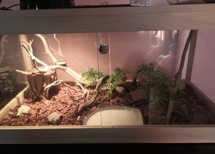 PROLEE 82 Gallon Bearded Dragon Tank, 48 x 20 x 20 Inch Tempered Glass Reptile Enclosure with Metal Mesh Top, Lockable Sliding Front Doors, Large Lizard and Snake Terrarium, Black customer photo 2
