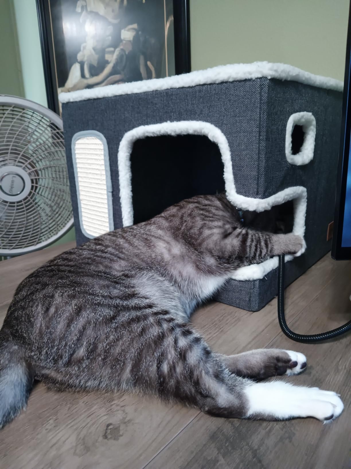 ZOMISIA Heated Cat House for Indoor Cats - Cat Warming Bed for Winter with Fluffy Ball Hanging and Adjustable Heating Pad, Foldable Cat Hideaway, 16.5x16.5x13 inches, Grey customer photo 1