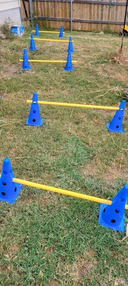 Dog Agility Course Backyard Set, Dog Agility Hurdle Cone Set with Height Adjustable Crossbar for Rehabilitation & Beginners, Dog Agility Equipment for Dog Obstacle Course - 12 Inch customer photo 1