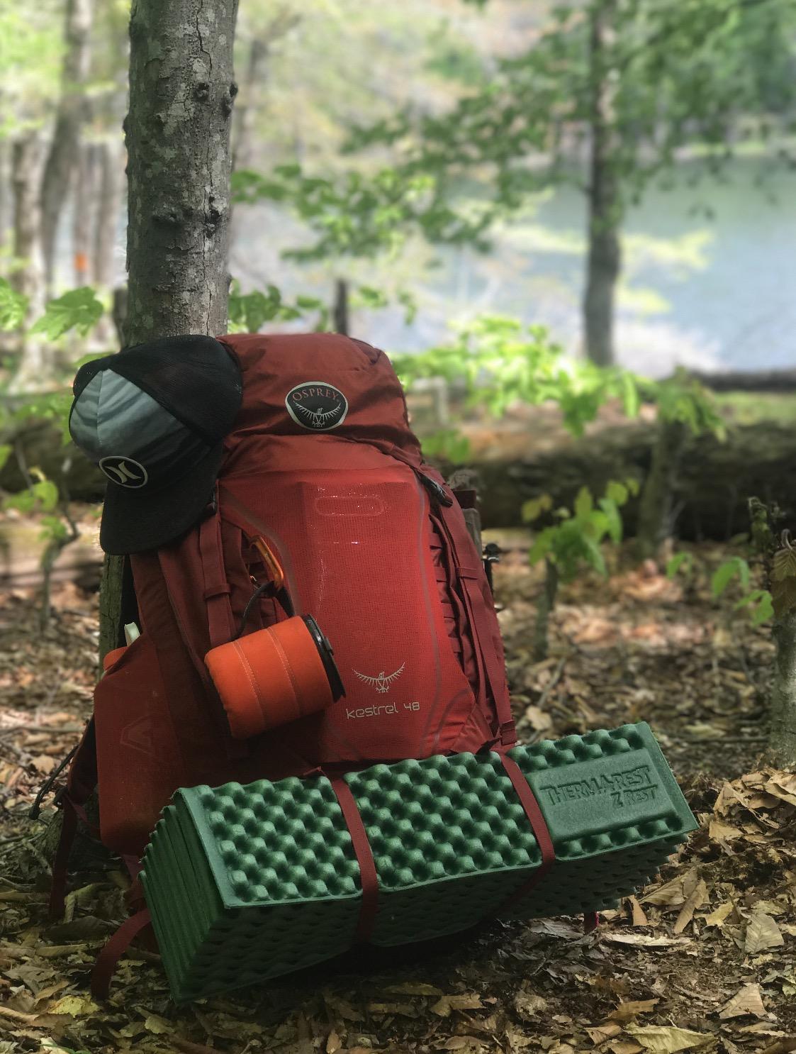 Osprey Kestrel 48L Men's Backpacking Backpack, Green L-XL customer photo 2