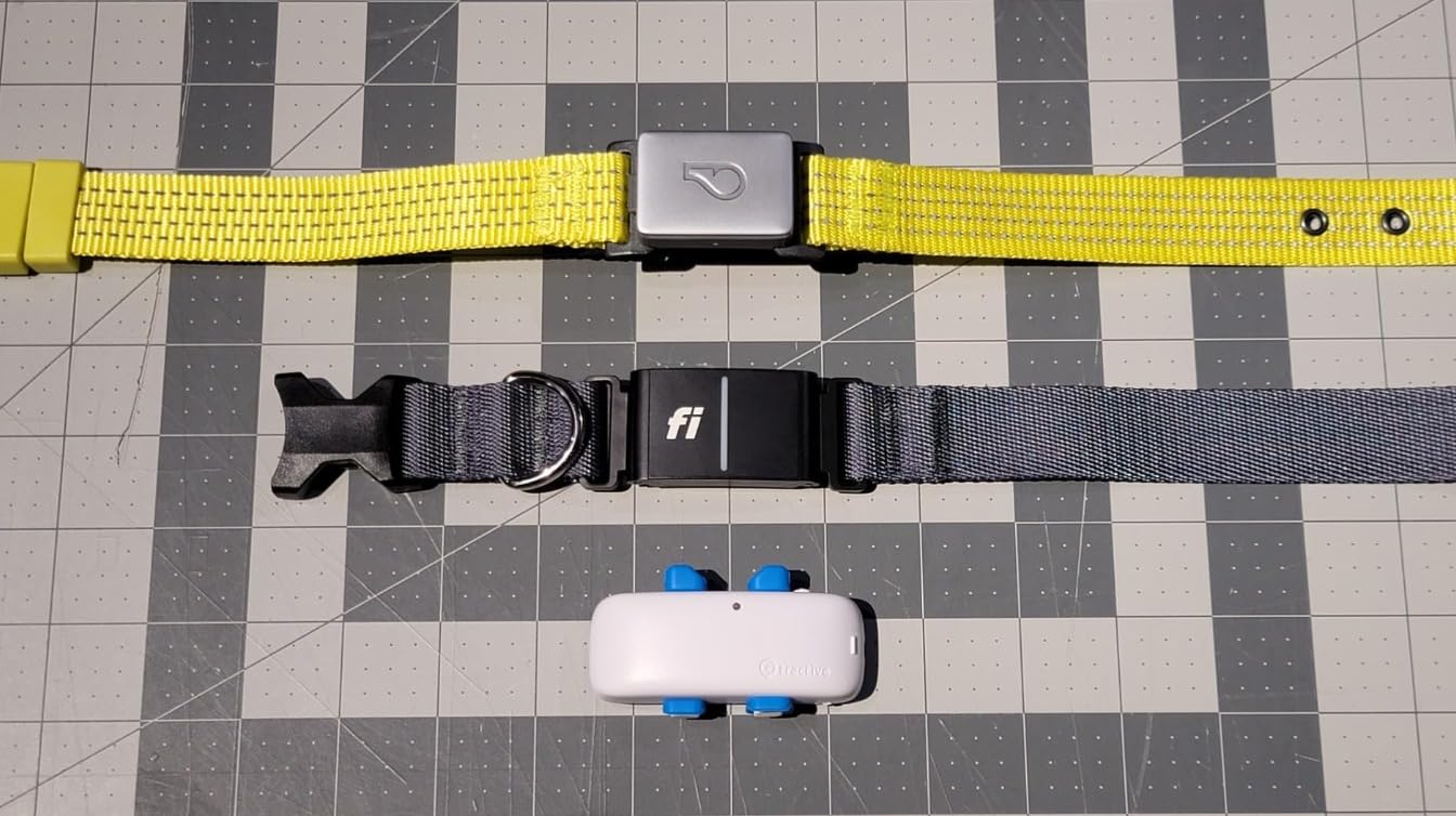 Fi Series 3+ GPS Dog Collar & Tracker, 12-Mo Membership Included, Gray L | Live GPS tracking & escape alerts, virtual fence safe zones, health & behavior monitoring, activity & sleep insights customer photo 2