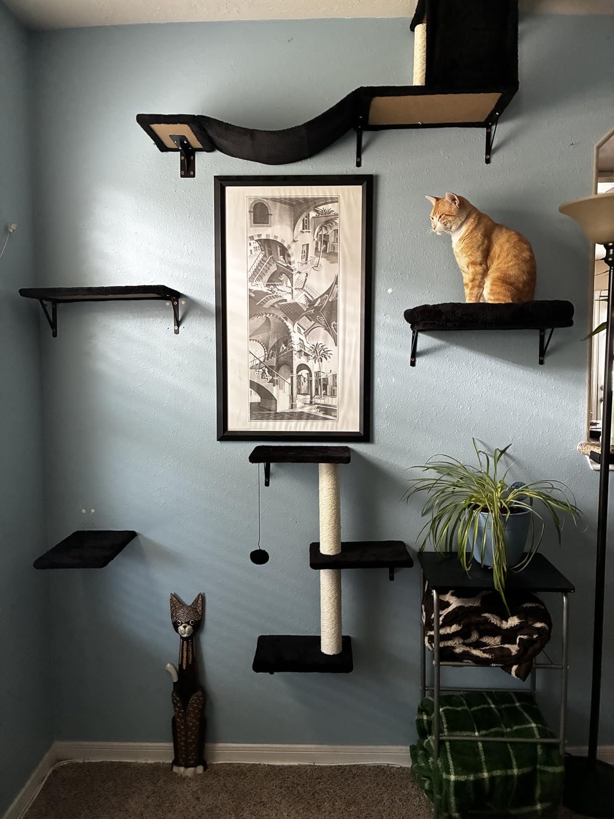 Cat Wall Shelves, Stable & Safe 6 in 1 Cat Furniture Set Black, for Cats to Climb, Hide, Lounge, and Scratch customer photo 2