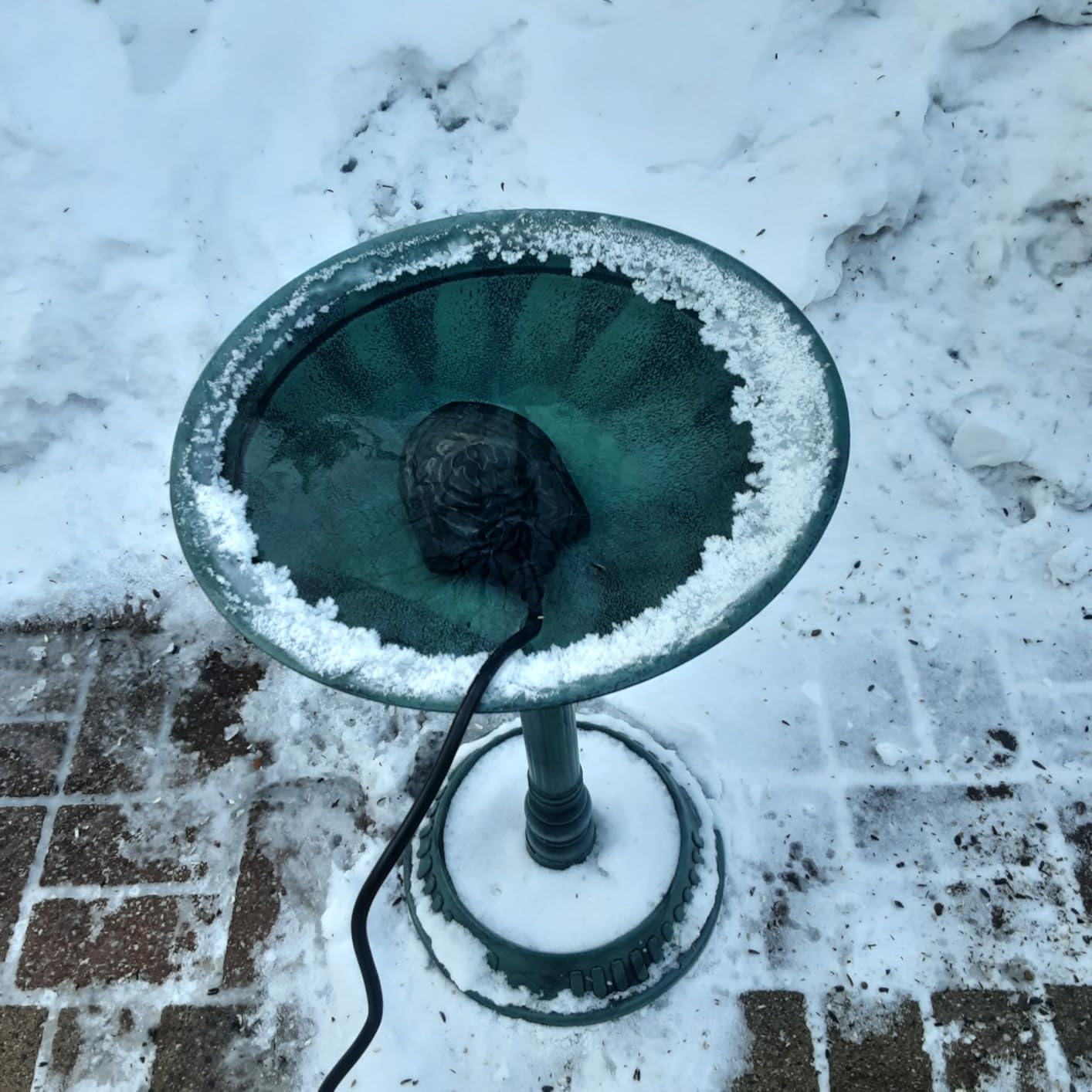 100W Bird Bath Heater, Birdbath Heaters for Outdoor Bird Bath Water Heater in Winter Submersible Thermostat Control, Heated Bird Bath Deicer for Outside Bird Chicken Poultry Livestock (Black) customer photo 2