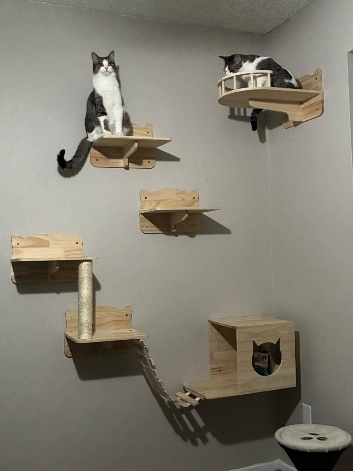 Cat Wall Shelves, 9-in-1 Wood Cat Wall Furniture Set, Burlywood | Cat Climbing Systems for Space-Saving, Wall Mounted Cats Shelves for Adult Cats, with Scratching Posts, Bridge, Condos customer photo 1