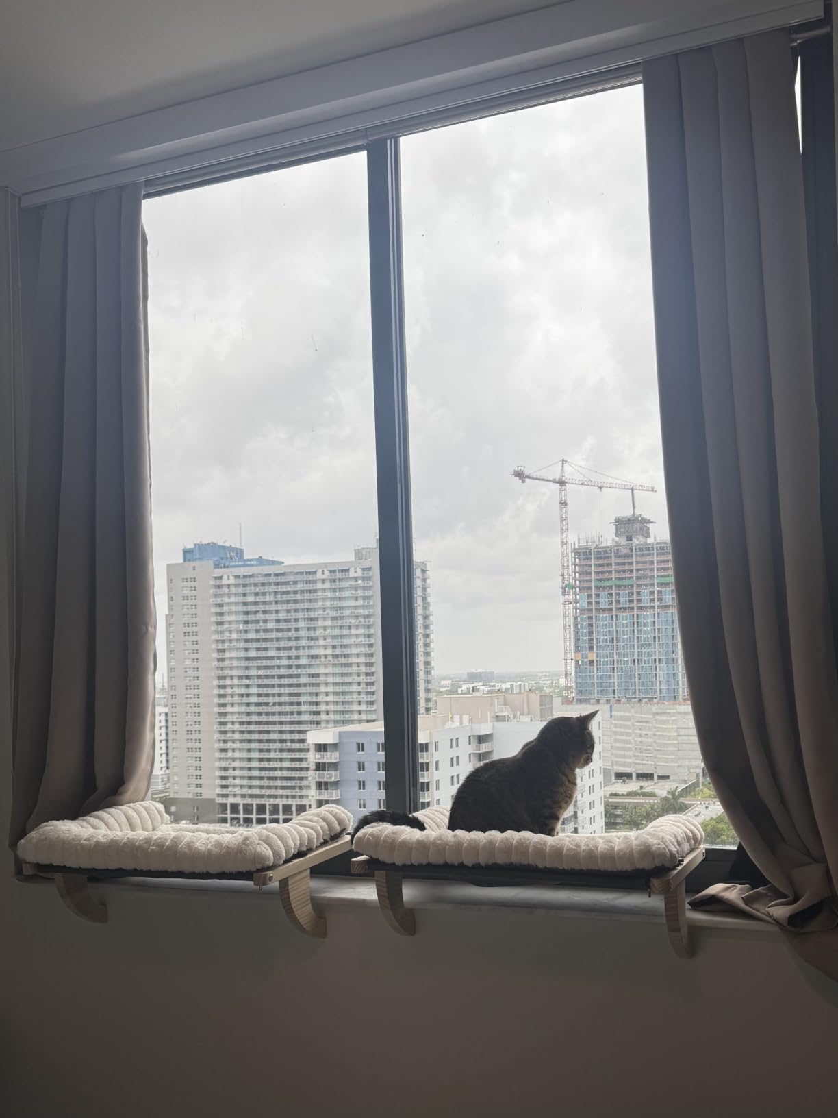Cloud-Soft Cat Window Sill Perch, Zipper Design Cushion Pet Bed, L | Solid Wood & Sturdy Metal Frame, Machine Washable, Unobstructed Front View, Panoramic and Roomy Cat Hammock for Large Cats customer photo 1
