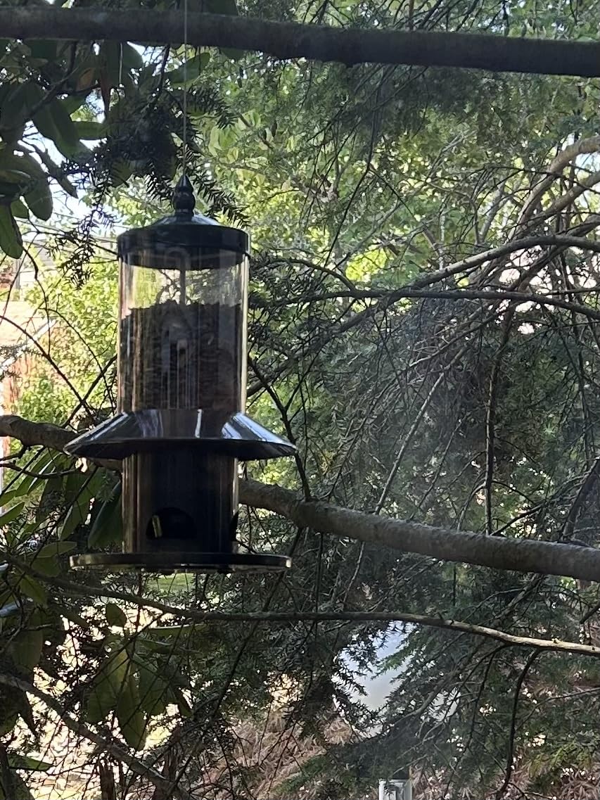 Squirrel-Proof Bird Feeder 360° Feeding Perch Tray for Outdoor Hanging customer photo 2