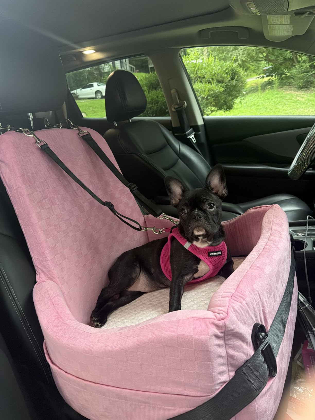PETSFIT Dog Car Seat with Patented Safety System, 5