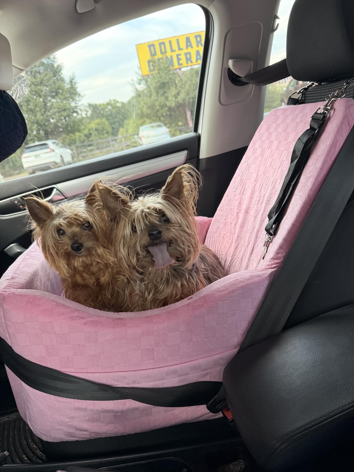 PETSFIT Dog Car Seat with Patented Safety System, 5