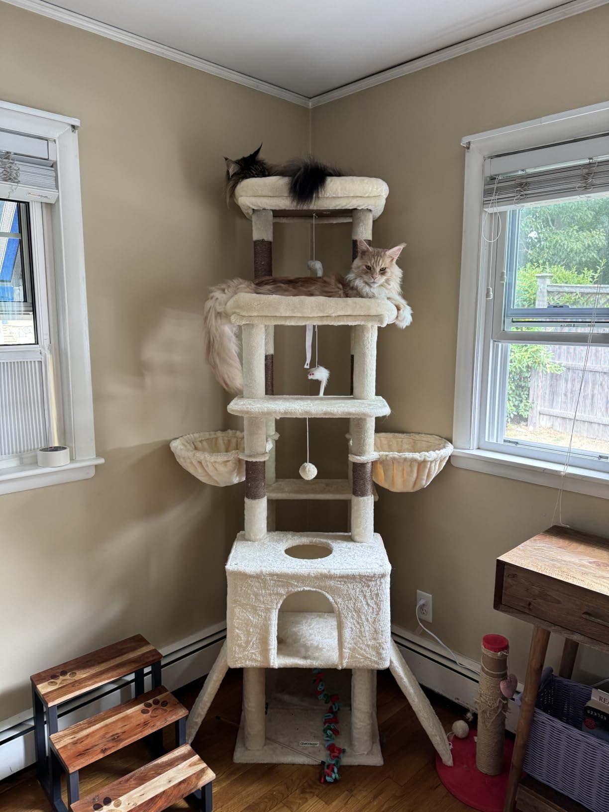 Globlazer Z78 Heavy Duty Cat Tree for 20lbs Large Adult Cats, Light Grey | Symmetrical Aesthetic, 78 inch Sturdy Cat Tower Big Cat Tree with Extra Large Platform, 2 Scratching Boards customer photo 2
