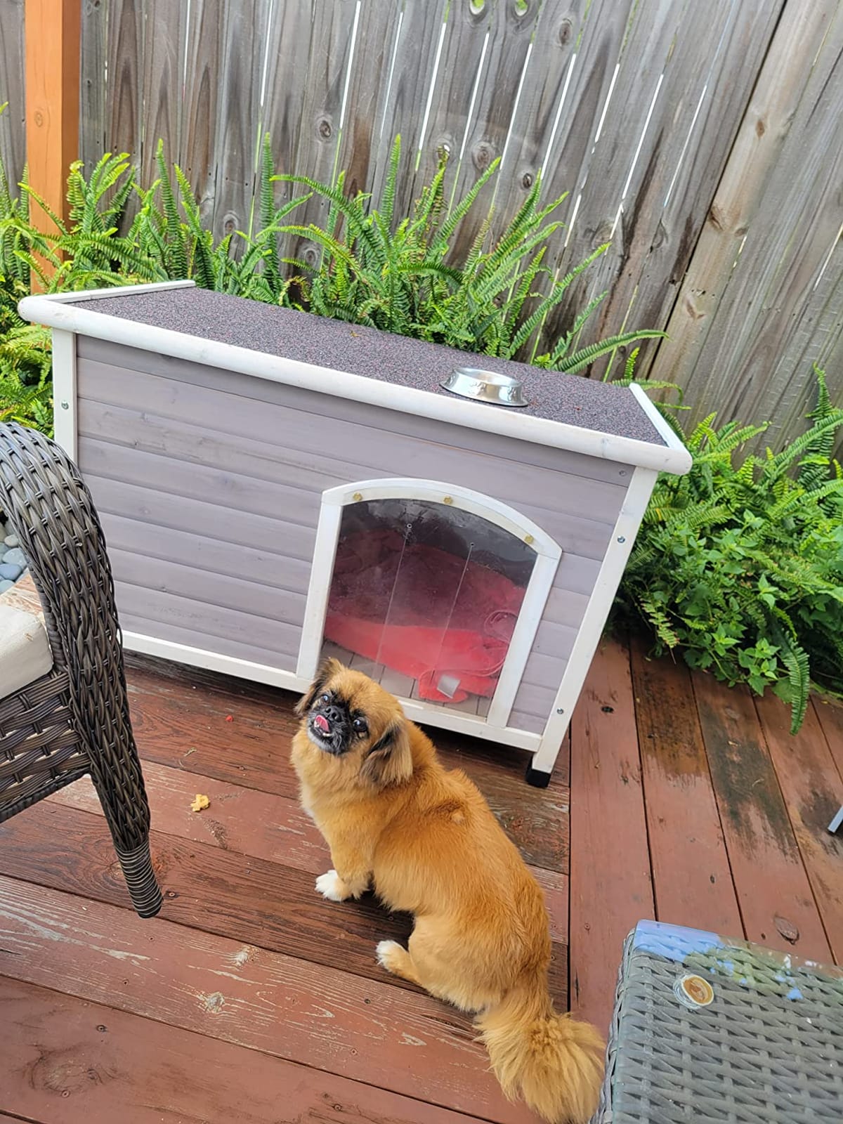 Insulated Dog House for Outside, Weatherpoof Dog House Outdoor Indoor customer photo 1