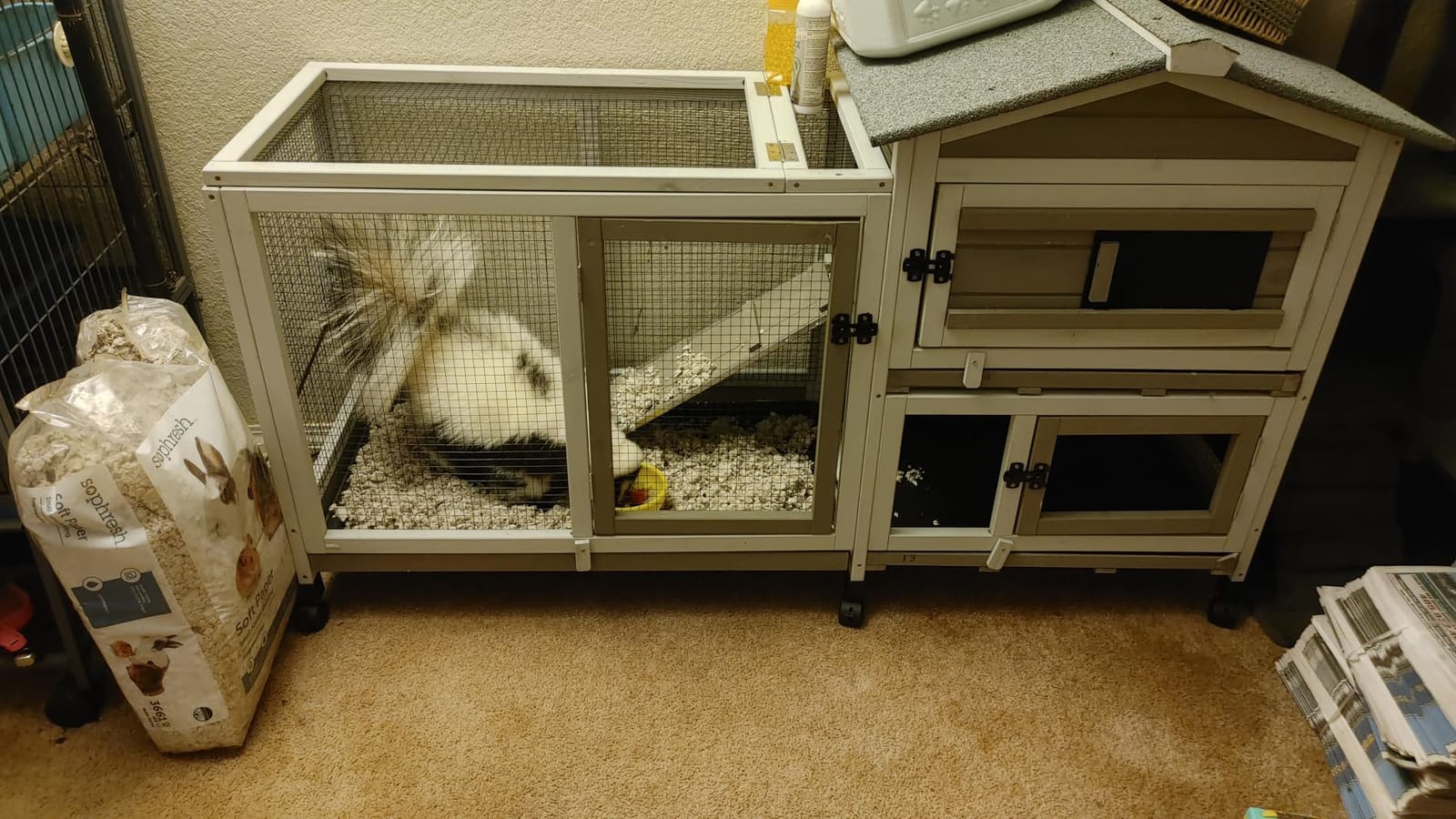 2 Story Rabbit Hutch Indoor & Outdoor, Wooden Rabbit Cage with 2 Leak-Proof Pull-Out Trays, 4 Wheels, Ramp, Chew-Anti Metal Strip for Rabbit, Guinea Pig, Hamster (36