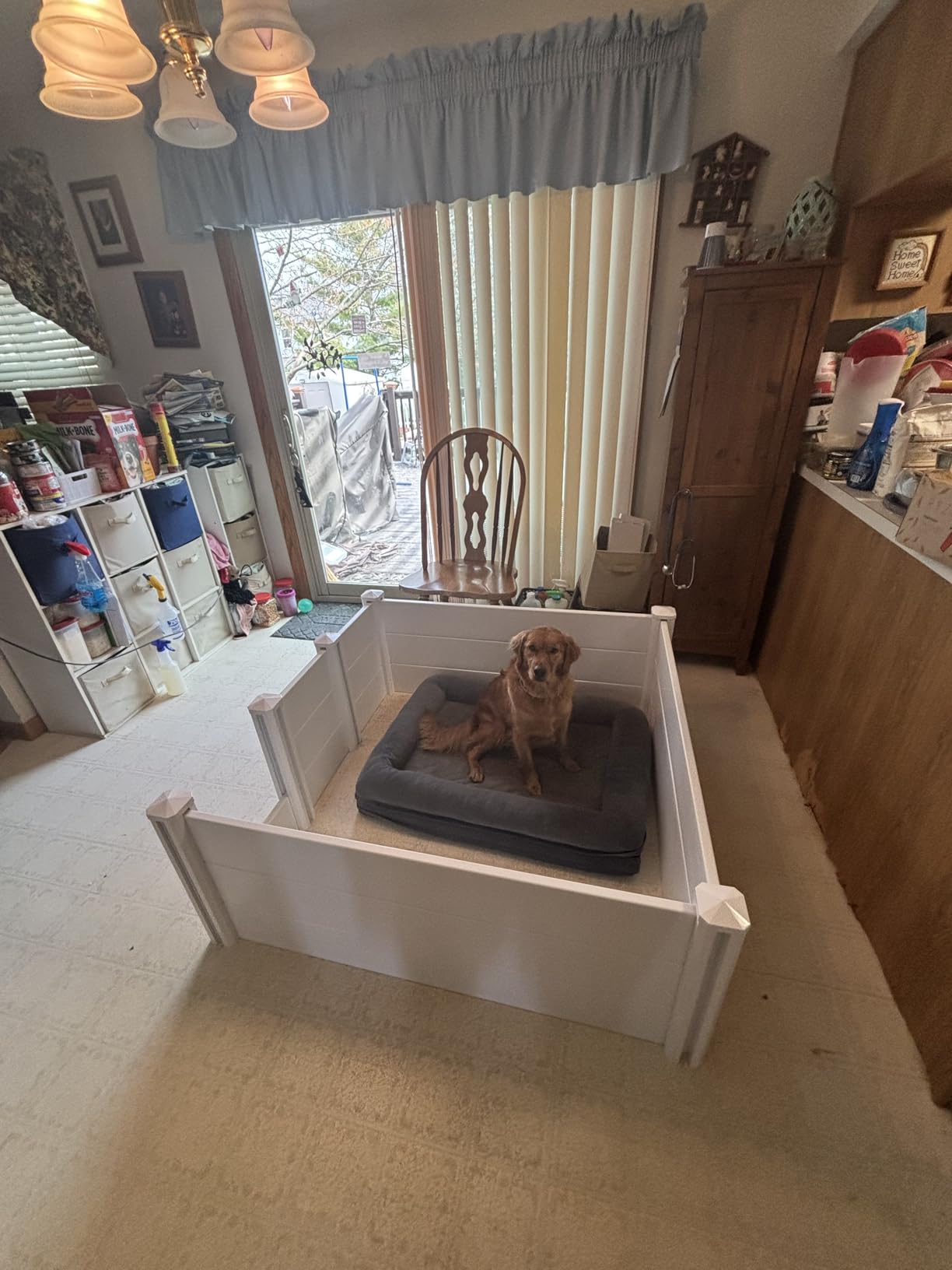Whelping Box for Dogs, Whelping Box for Puppies with Pee Pad, Puppy Collars and Growth Record Sheets, Easy-Clean & Durable Puppy Playpen, Dog Welping Supplies, 48