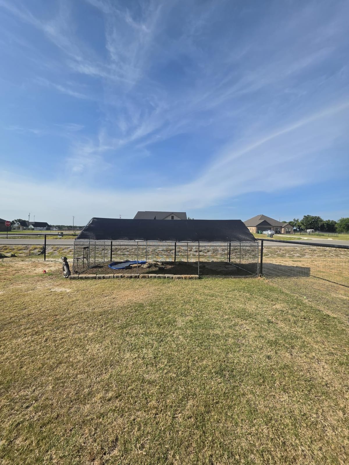 CAMMOO Walk in Chicken Coop, 9.8x6.6x6.6ft Chicken Run for Yard with Cover | Upgrade Double Lock & Mesh, Stainless Steel Ties, Easy Assembly, Chicken Pen for Ducks, Rabbits customer photo 1