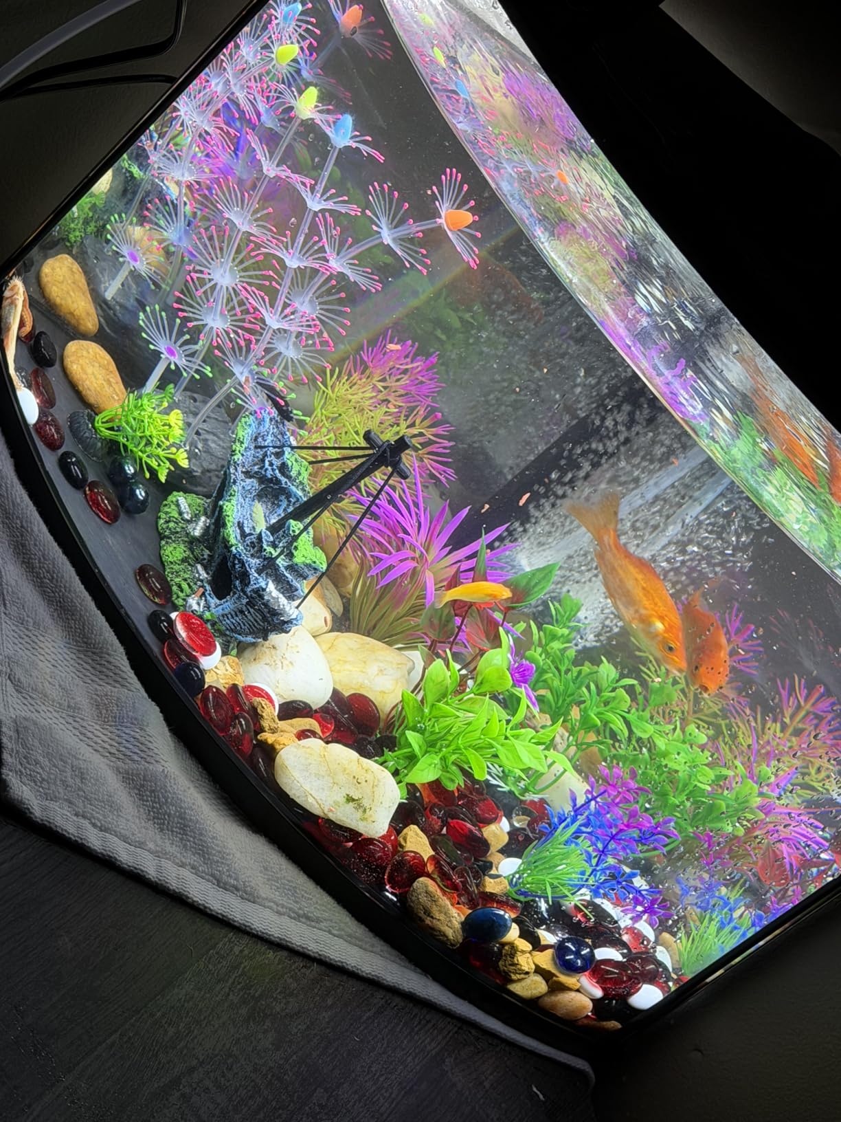 8Pcs Fish Tank Decorations Set Sunken Ship Decoration, Resin Material Fish Tank Accessories Accessories for Natural Look, Aquarium Shipwreck x 1pc, Aquatic Plants x 7pcs customer photo 2