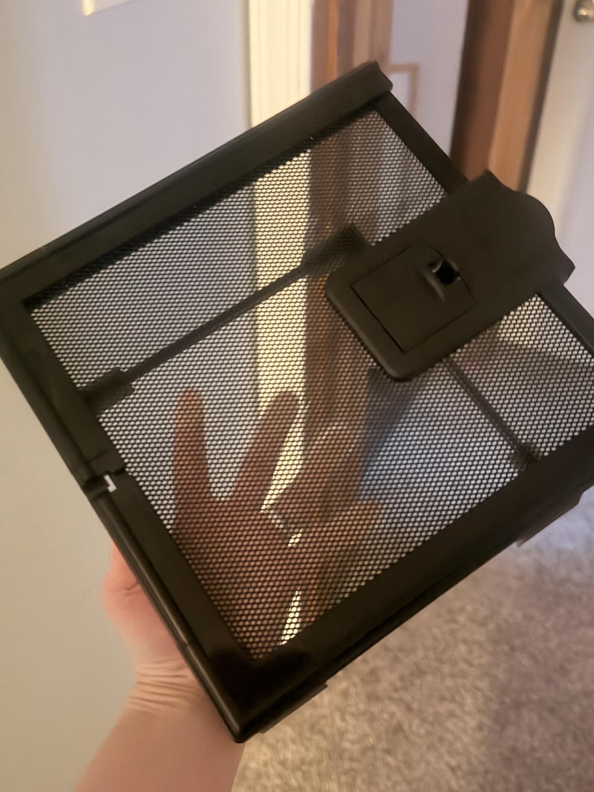10 Gallon Reptile Tank: Leopard Gecko Tank with Lockable Lid | 20x12x10 Glass Terrarium for Small Lizard Snake Hermit Crab - Tarantula Enclosure with Sliding Screen Top for Desert Decor customer photo 2
